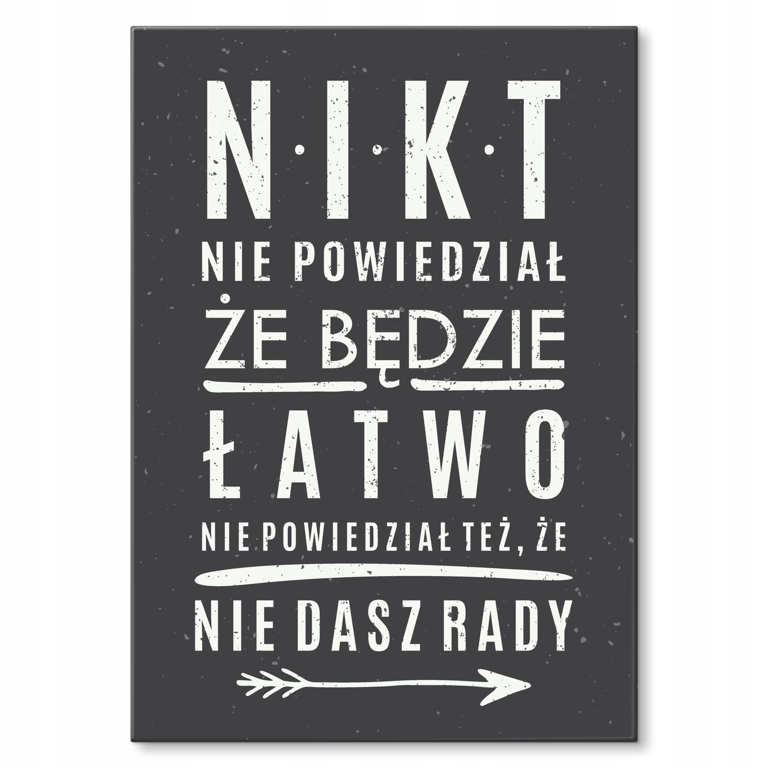 Kovový plakát nikdo neřekl Dárek 22 x 31 cm