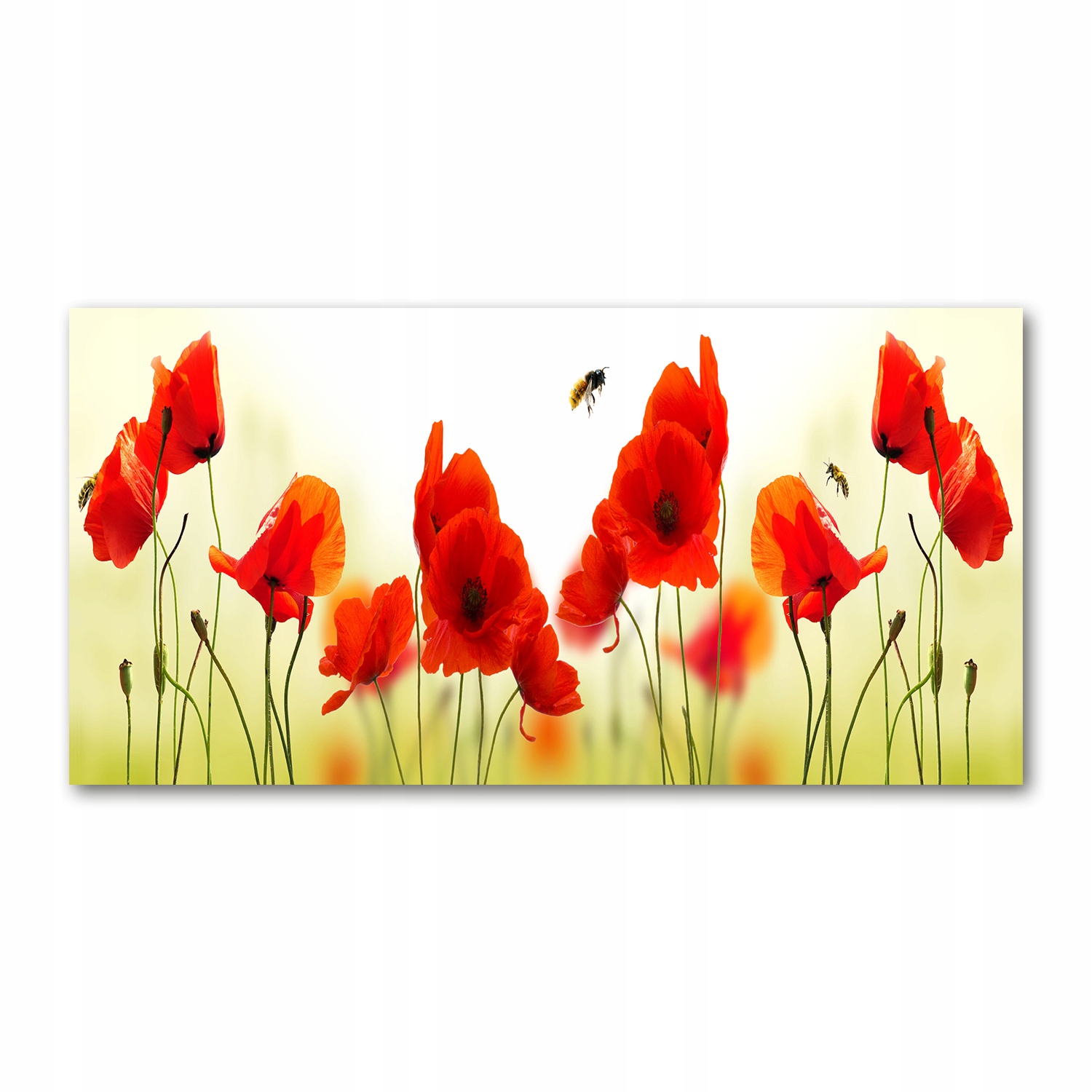 

Foto-obraz akrylowy na ścianę dużyMaki 120X60 cm