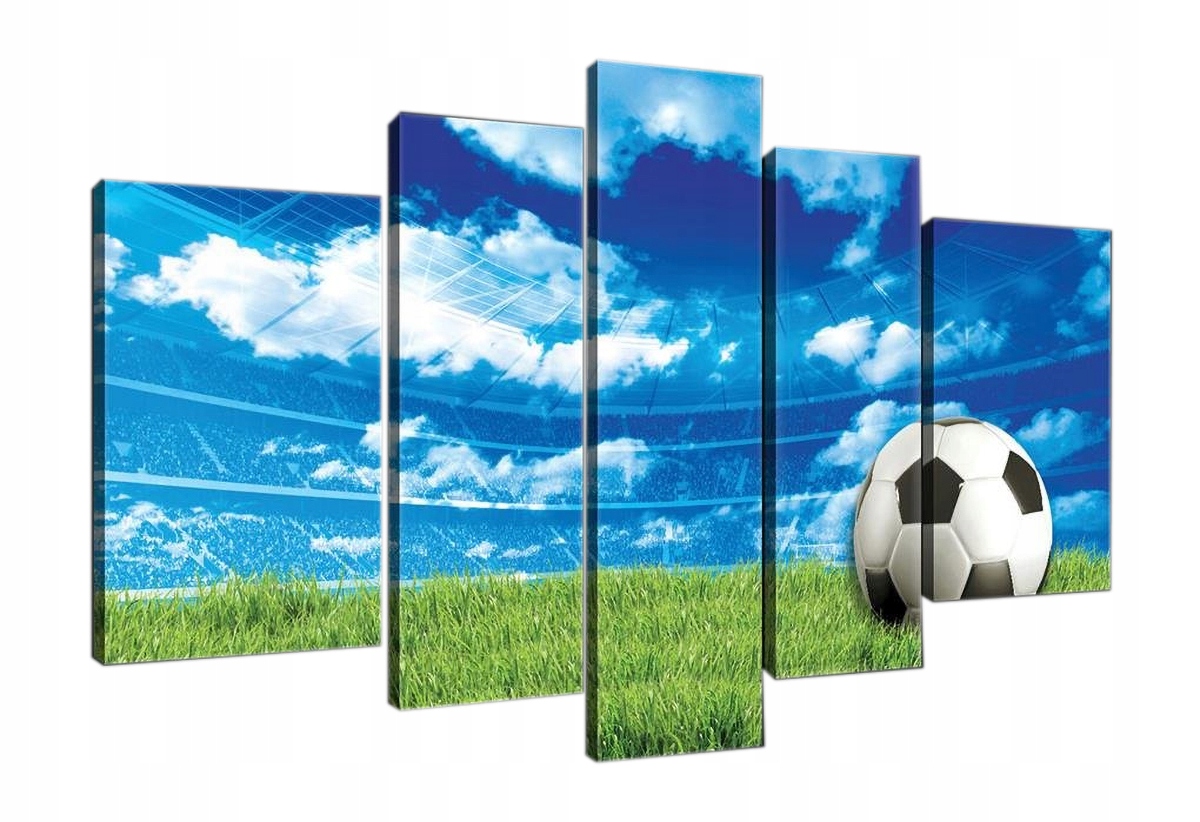 Obraz Na Plátne Canvas 170x100 Sport Futbal Football Stadion Murawa