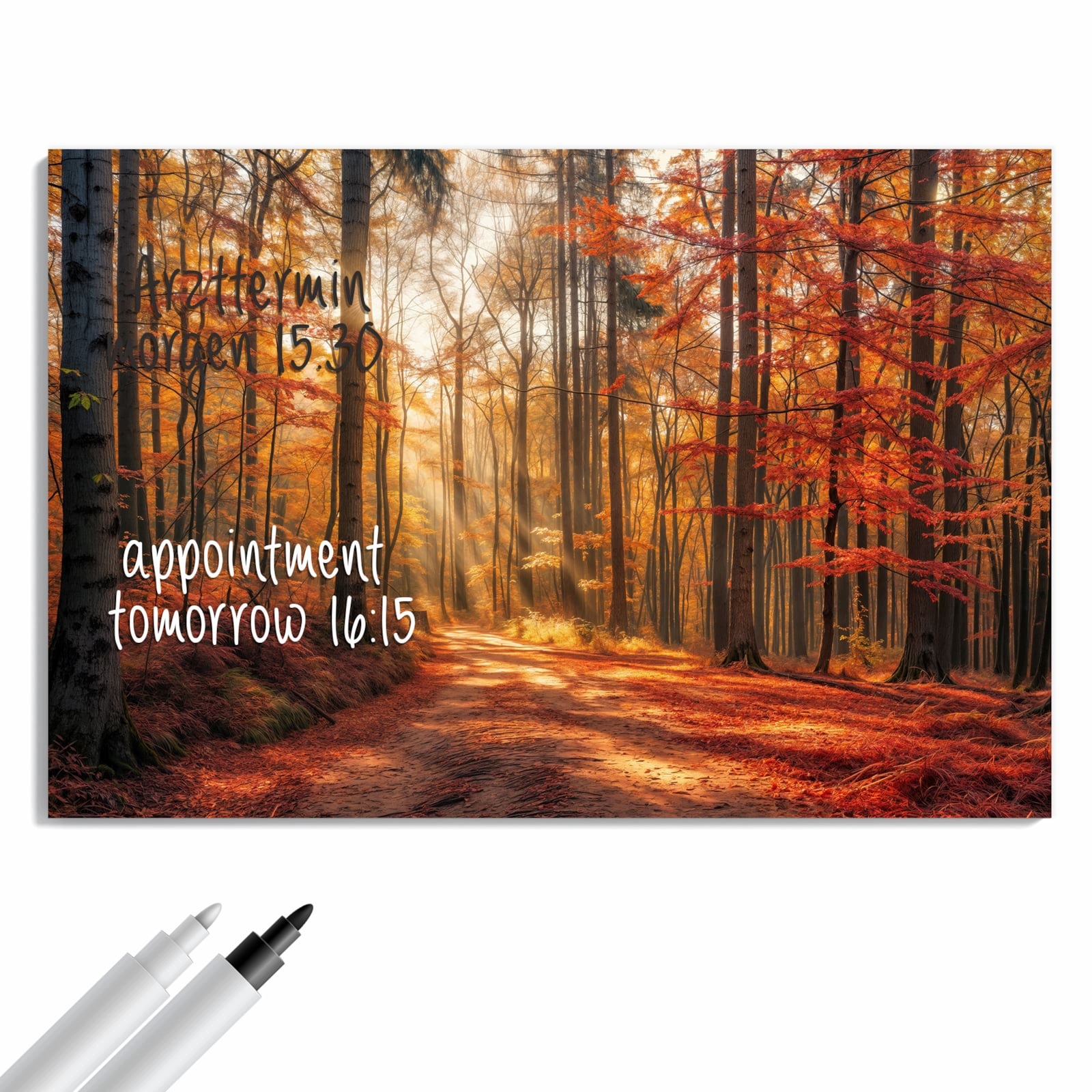 Magnetická tabule Podzimní Lesní stezka 90 × 60 cm
