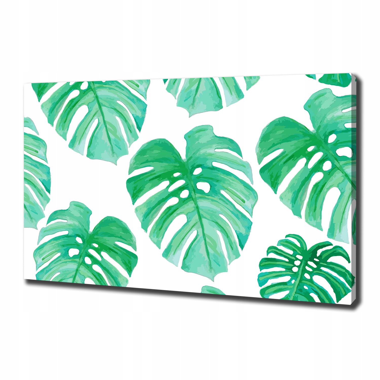 

Foto obraz canvas na ścianę Monstera 100x70 cm