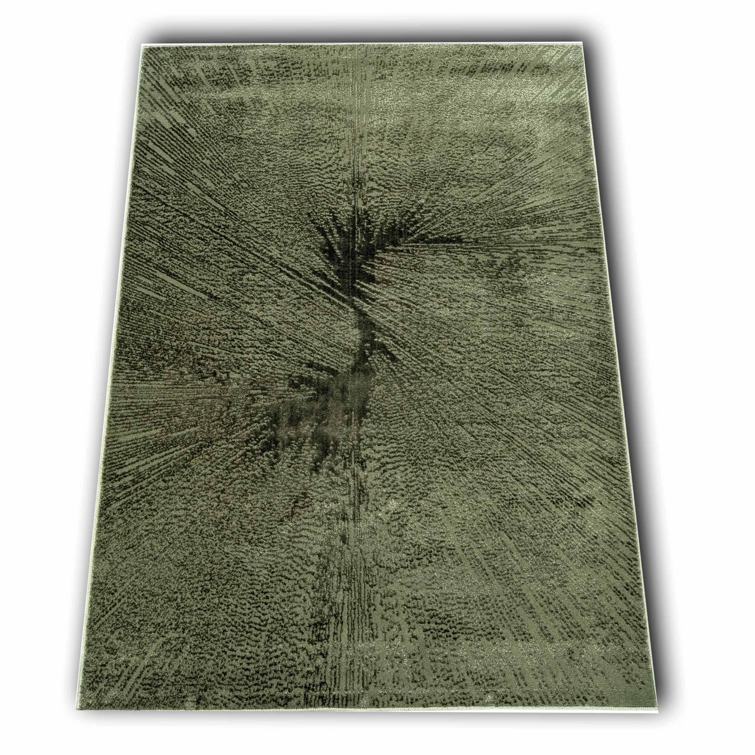 Dywan Pure– nowoczesny dywan do salonu miękki jak bawełna 120x170 cm
