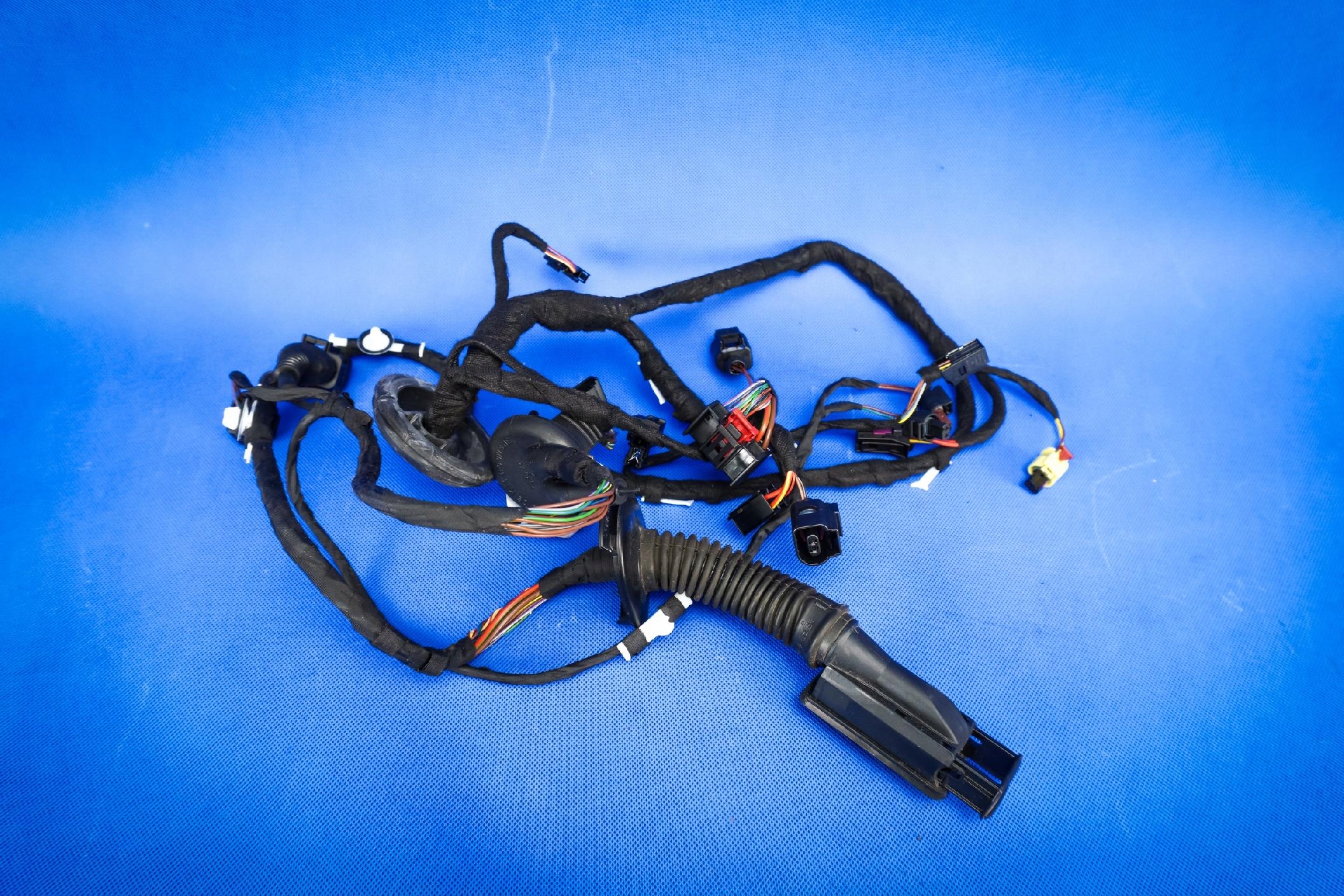 kabelbaum kabelsatz elektrisch Tür Audi A7 RS7 4G8971029EE