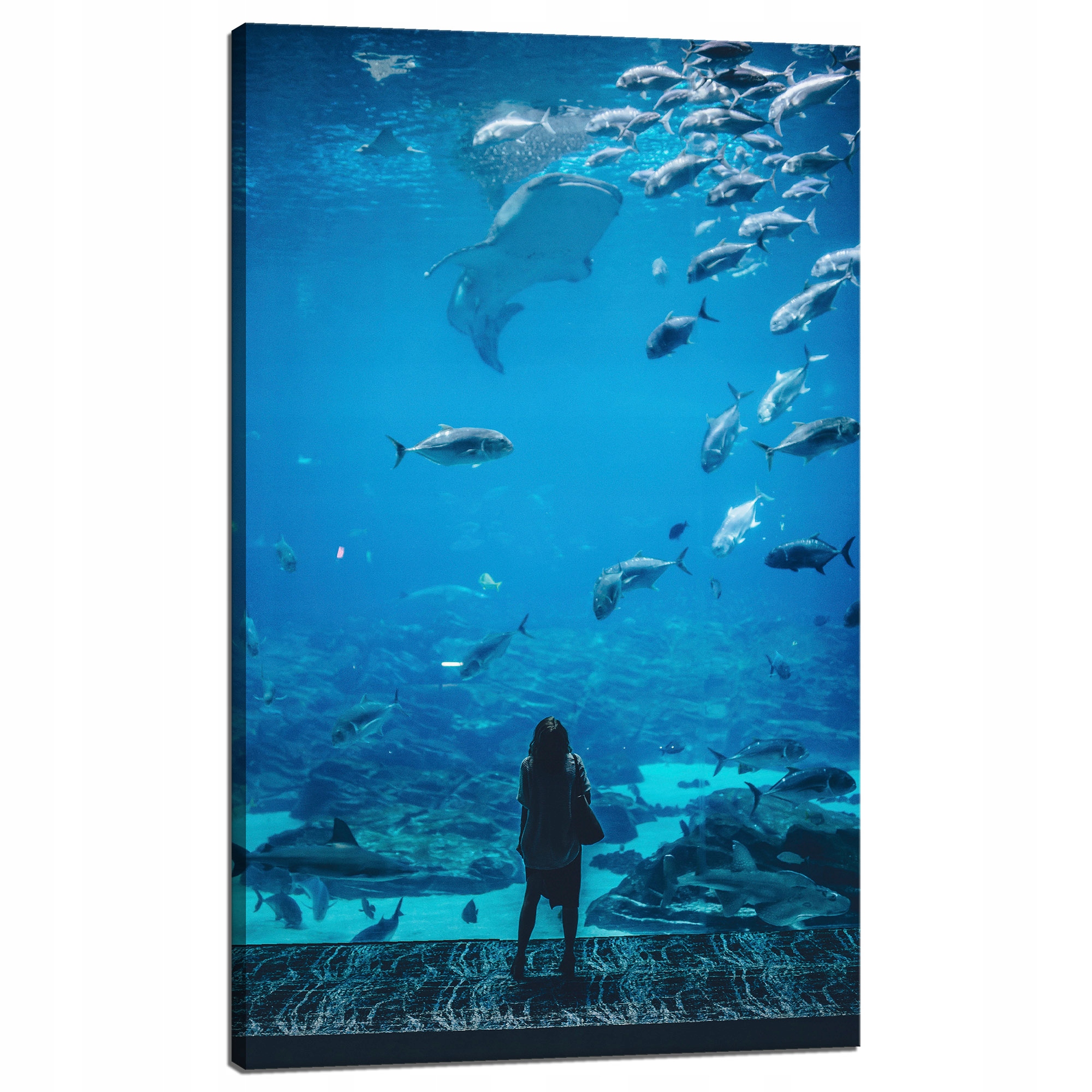 Obraz na plátně Lidé Akvárium Voda Mořský oceán Život 60x100 cm