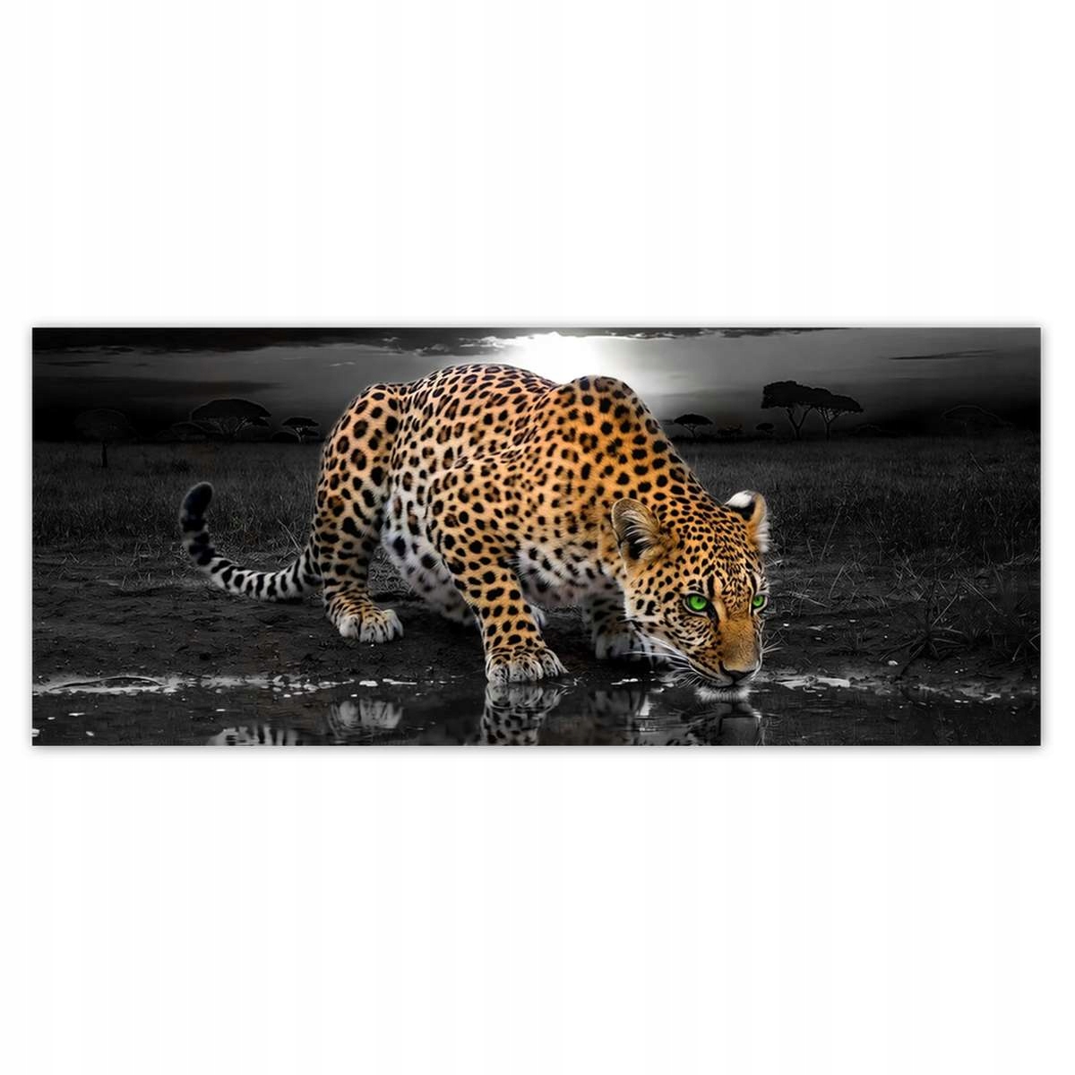 Fototapety 250x104 Na Zeď Gepard Do Ložnice