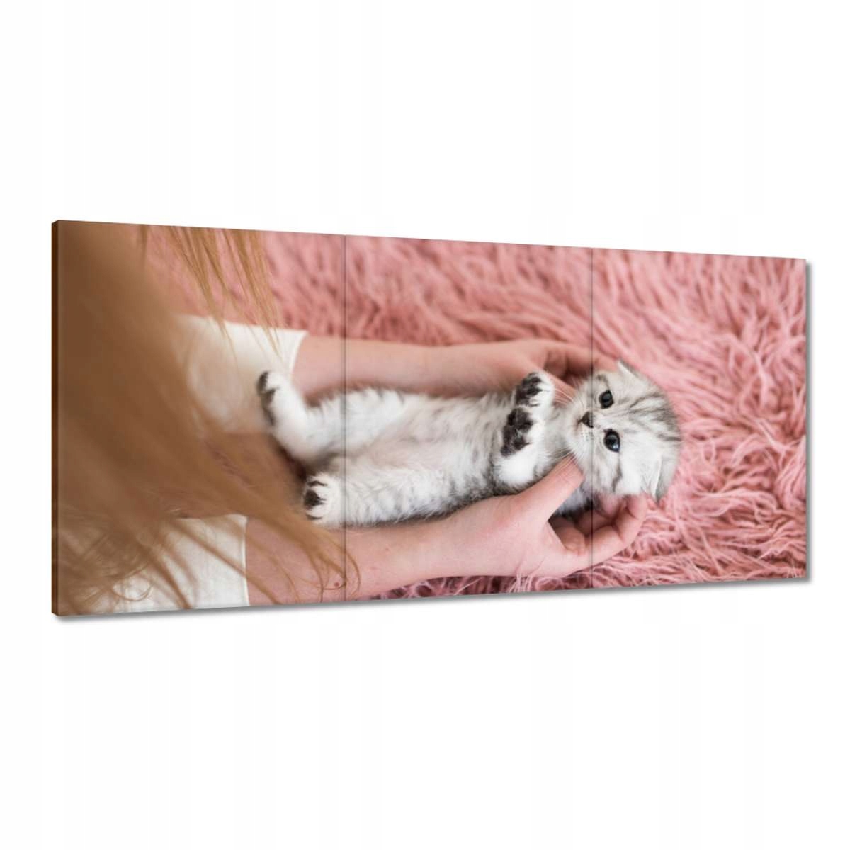 Obrazy 180x90 Mačka Mačky