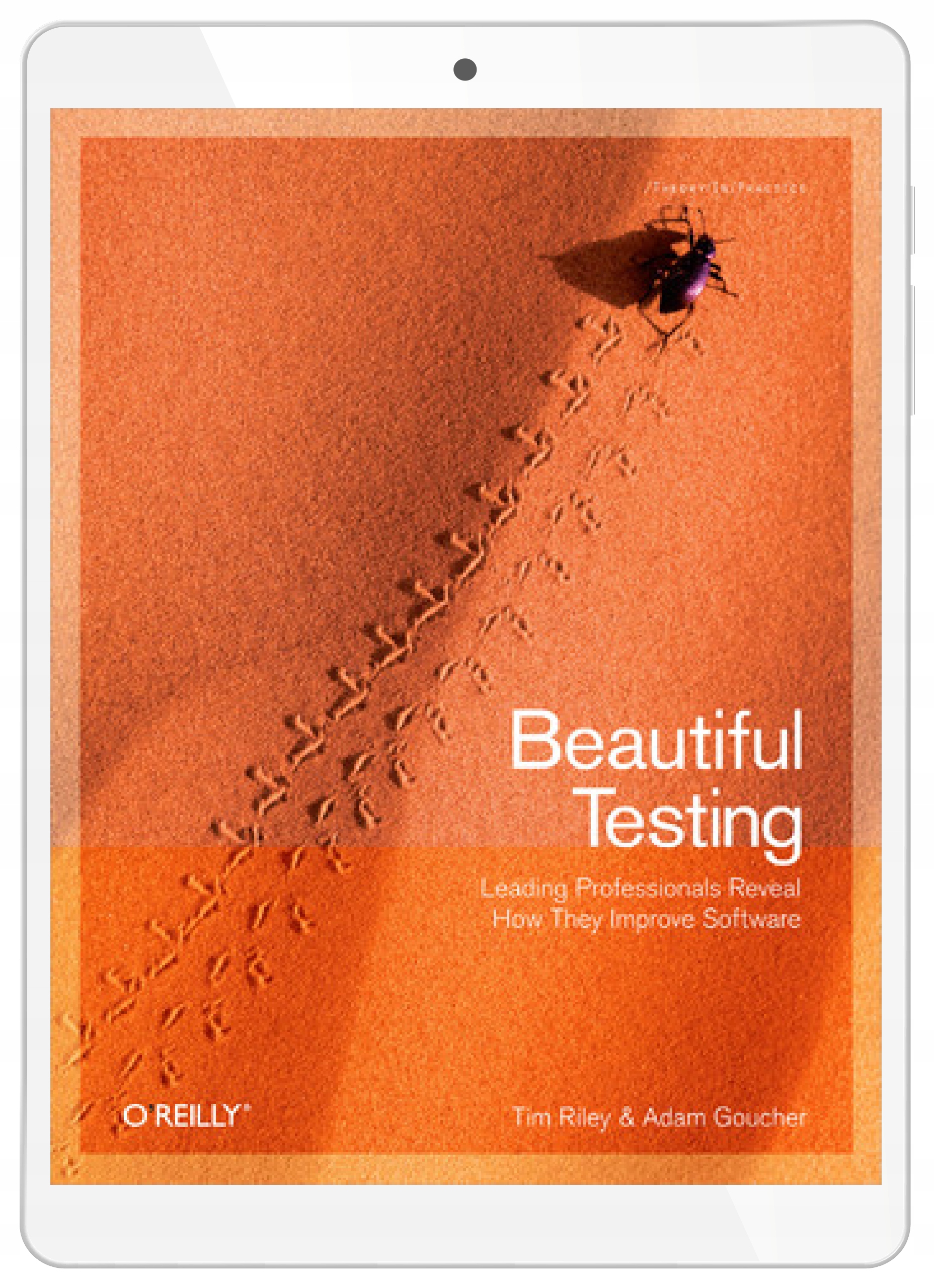 Beautiful Testing. Leading Professionals Reveal