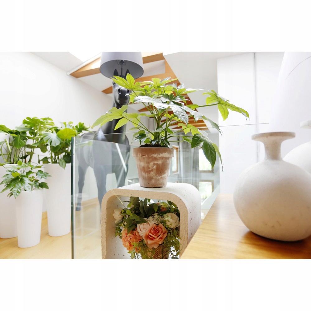 DONICZKA OSŁONKA RIBRETTA - beton architektoniczny Wysokość produktu 18 cm