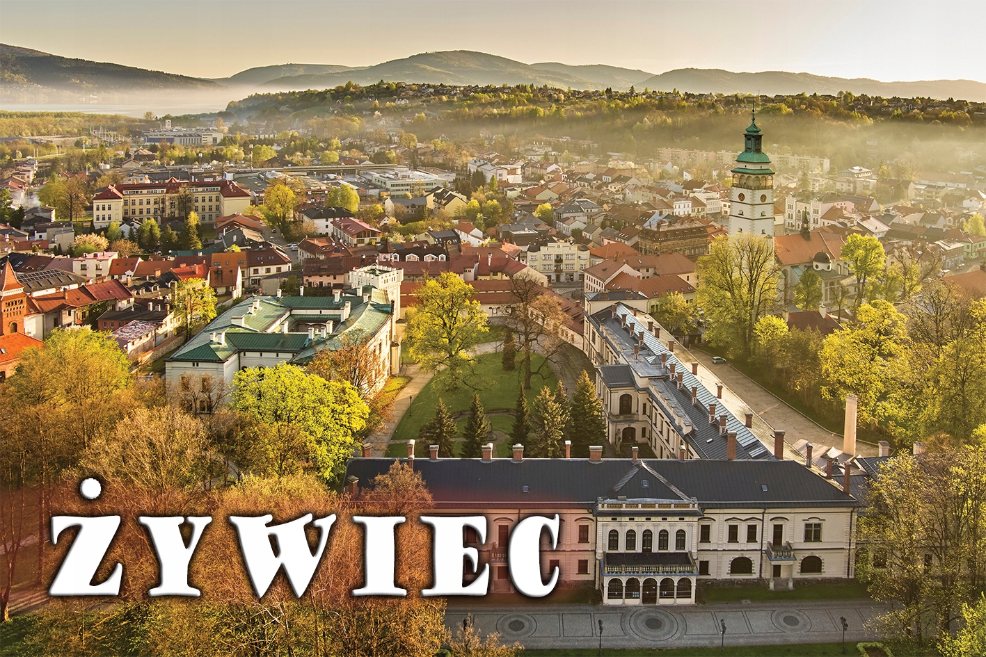 

Żywiec - Magnesy Na Lodówkę