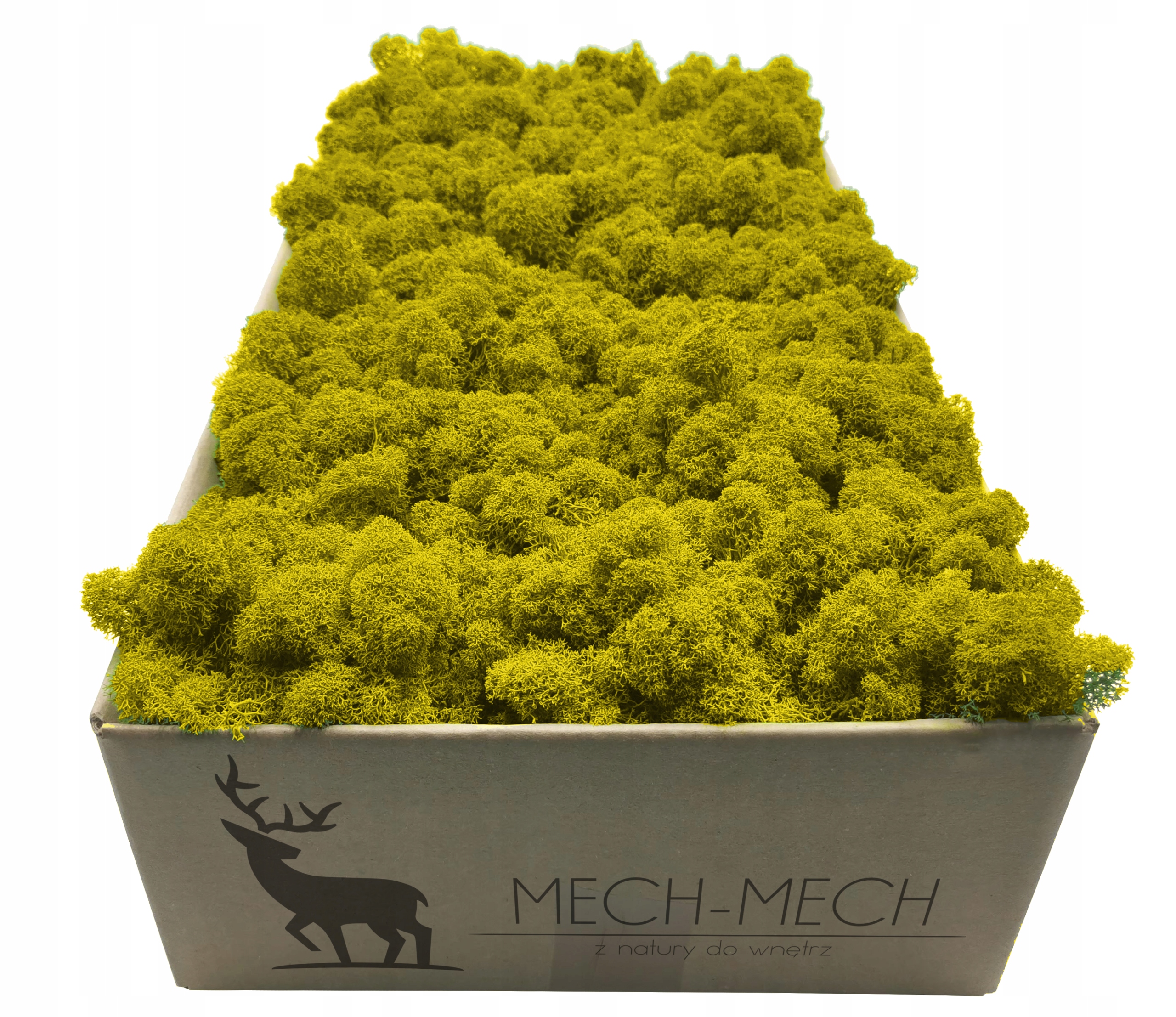 

Mech Chrobotek Fiński 500g