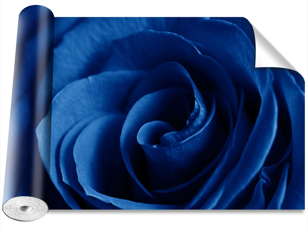 

Tapeta Samoprzylepna Róża Niebieski 104x70
