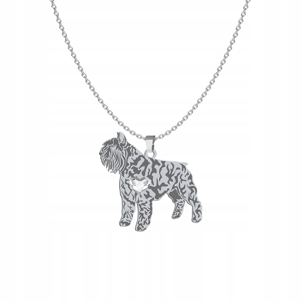 Náhrdelník Stříbro Bouvier des Flandres 925 Šperky Dárek Gravírování Bonus