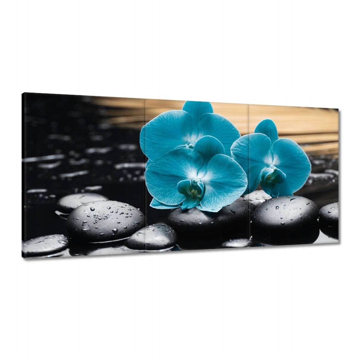 Obrazy 180x90 Tyrkysová orchidea Kvet