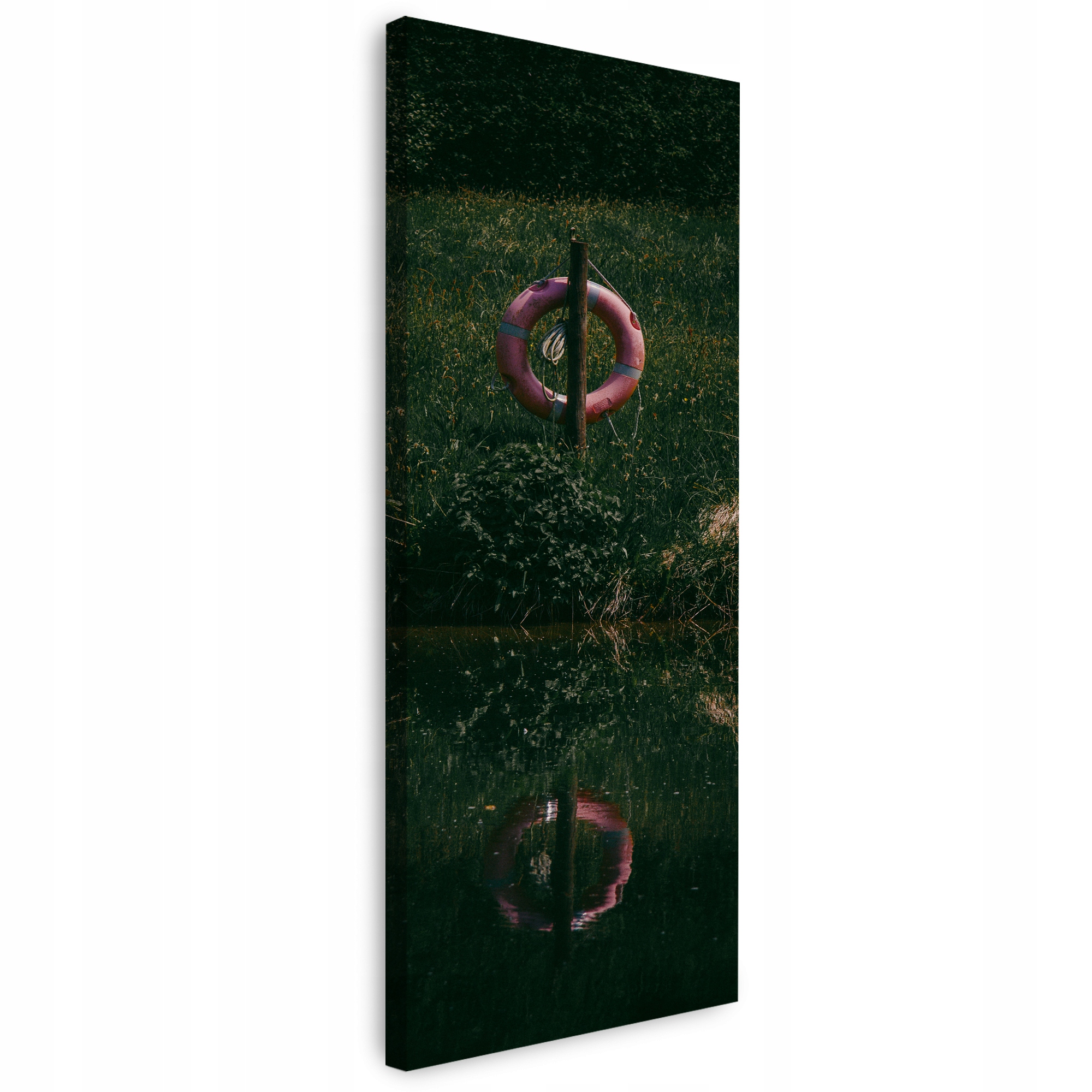 Obraz na plátně Příroda Záchranný kruh 40x120 cm