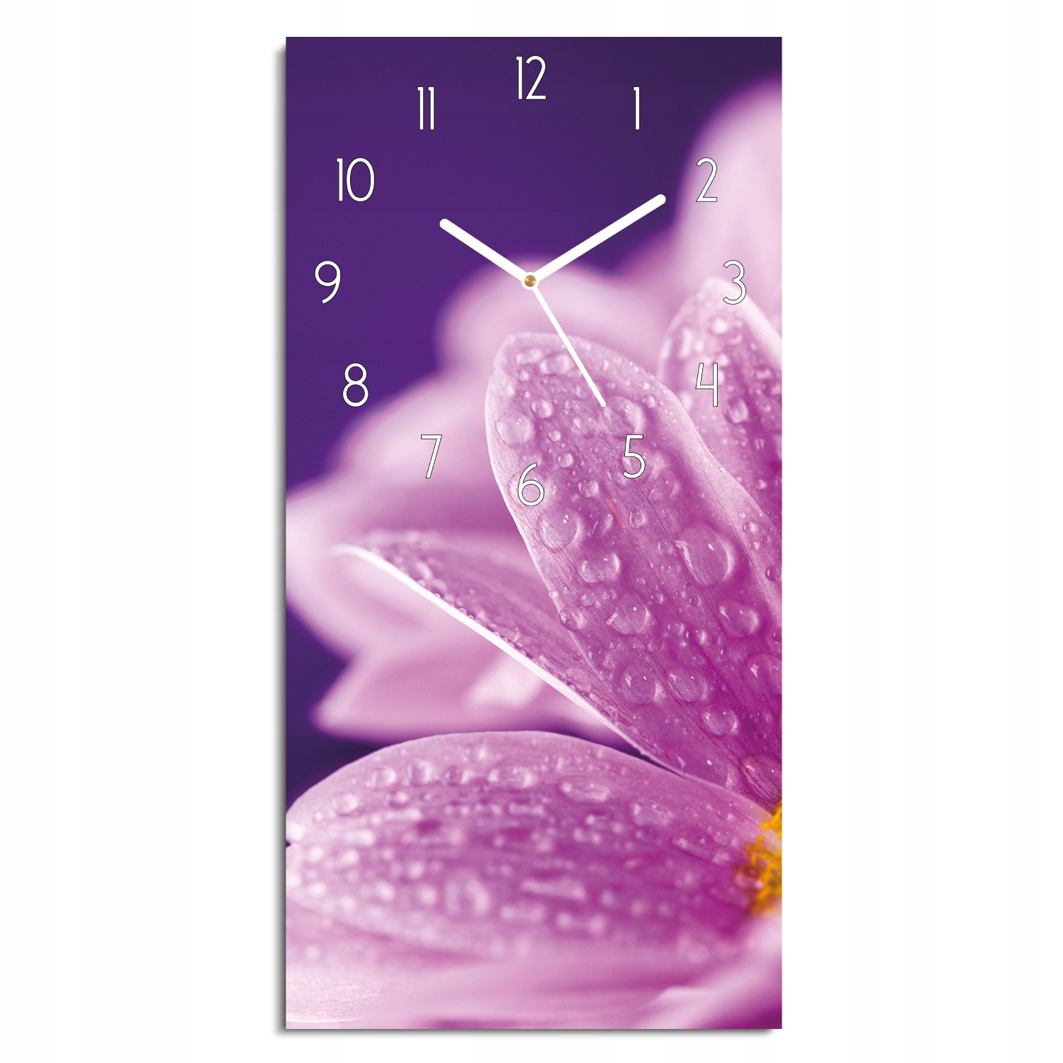 závěsné hodiny Sedmikráska rosa květina do kuchyně 30x60