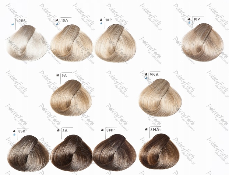 GOLDWELL TOPCHIC FARBA 60 ml + OXYDANT 60 ml EAN (GTIN) 4021609018230