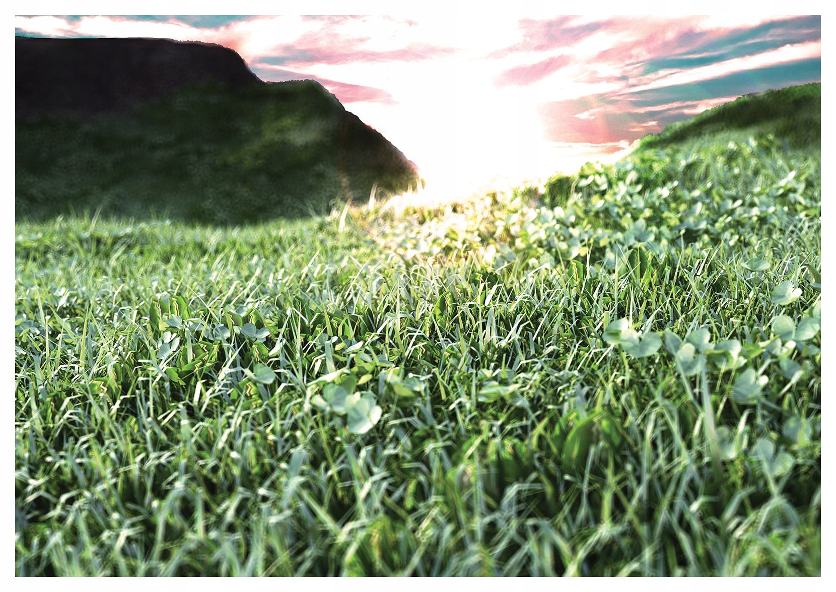 Vliesová fototapeta ďateliny úsvit a hory 368x254 lepidlo