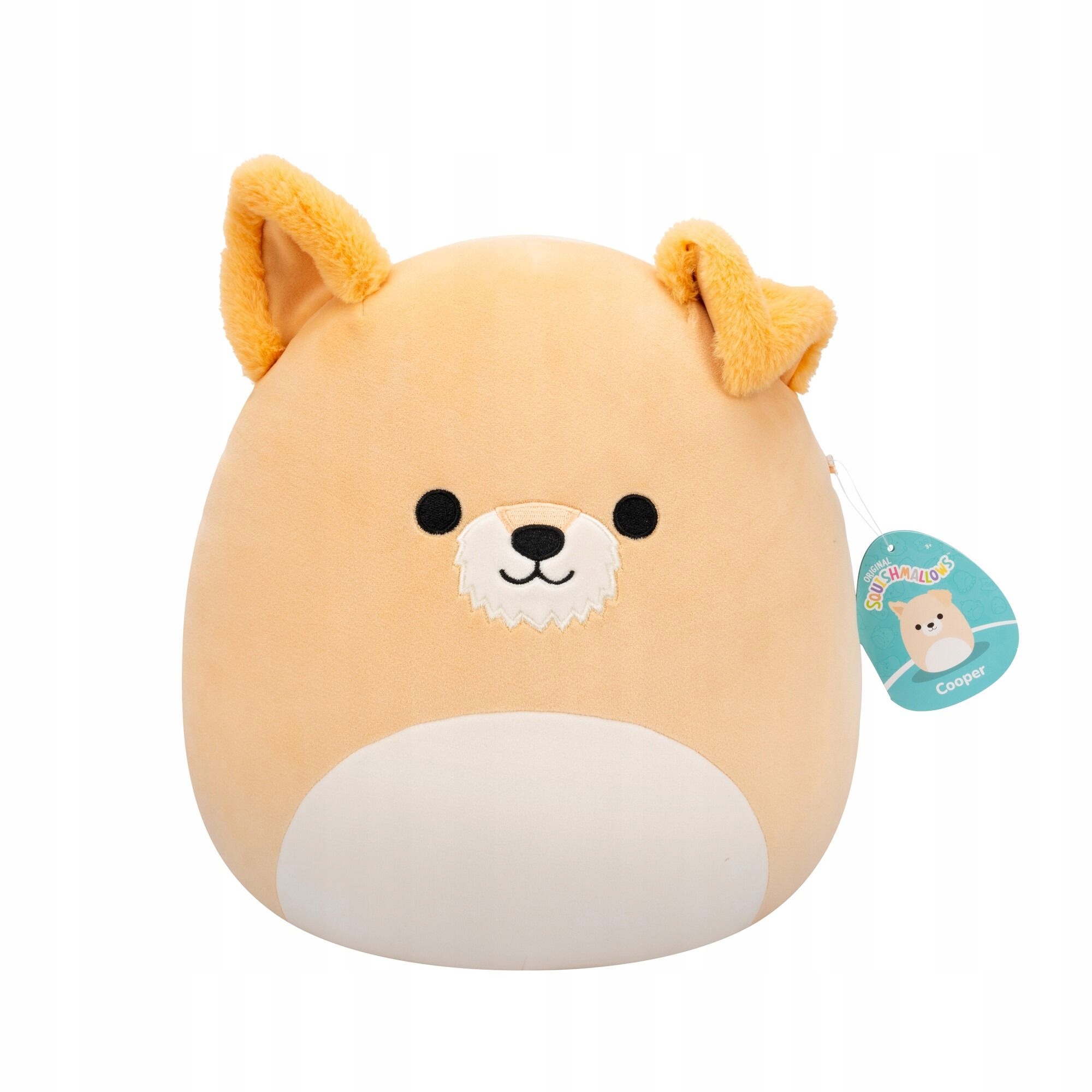 Squishmallows Maskotka Pies Cooper 30 CM