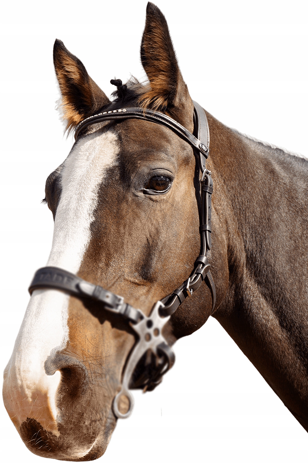 Ogłowie do hackamore Balotade Quick Brązowy Full Kod producenta 5905378170667