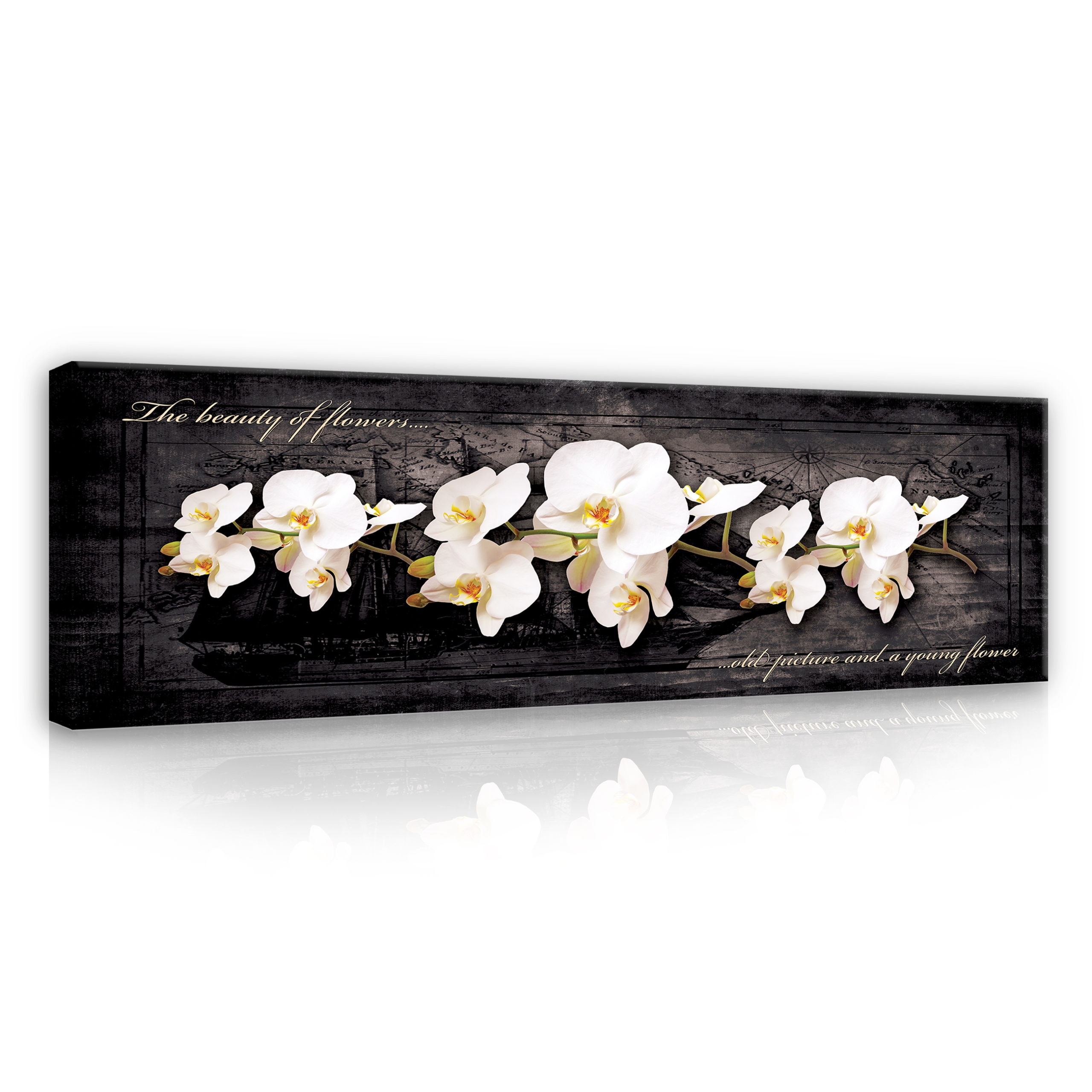 

Obraz na płótnie Orchidea Kwiaty Sypialnia 145x45