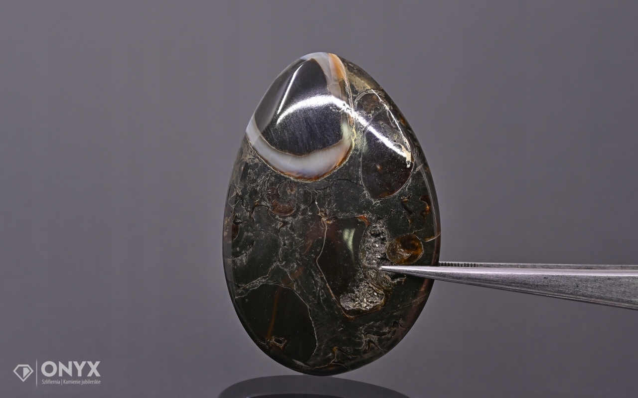 Amonit spiritizovaný nepravidelný 50x34 mm