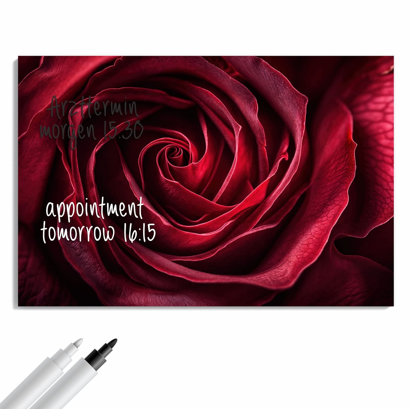 Magnetická tabule Růže Fotografie makro 60 × 40 cm