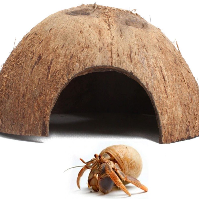 KRYJÓWKA DO TERRARIUM OZDOBA POŁÓWKA KOKOS GŁADKI