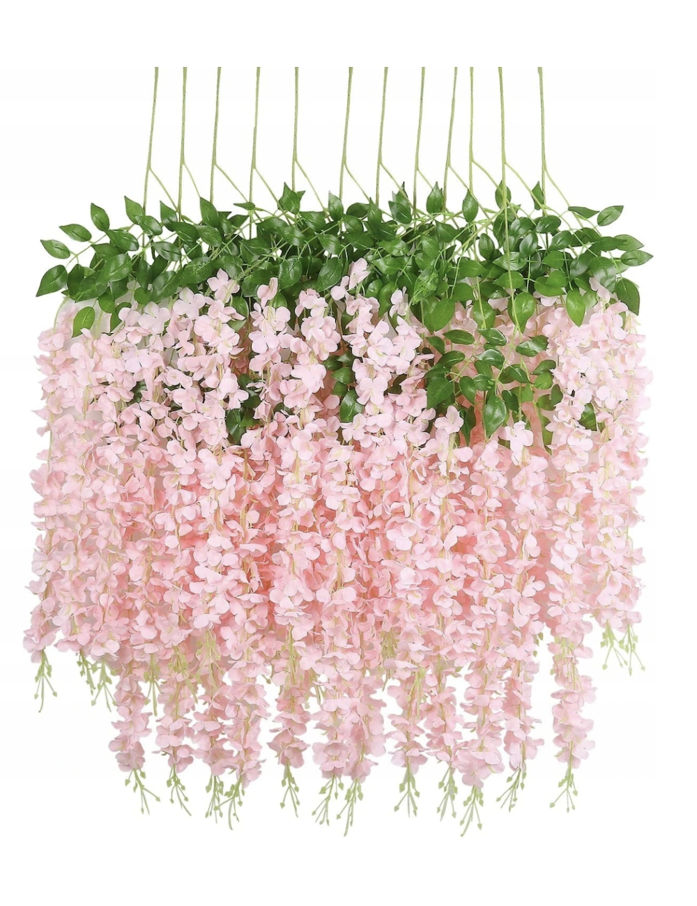 

XXL Wisteria x12 Glicynia girlanda pnącze zwisy