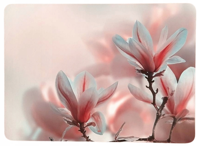 Mata Podkładka na stół KORKOWA , dwuwarstwowa Magnolia Różowo biała