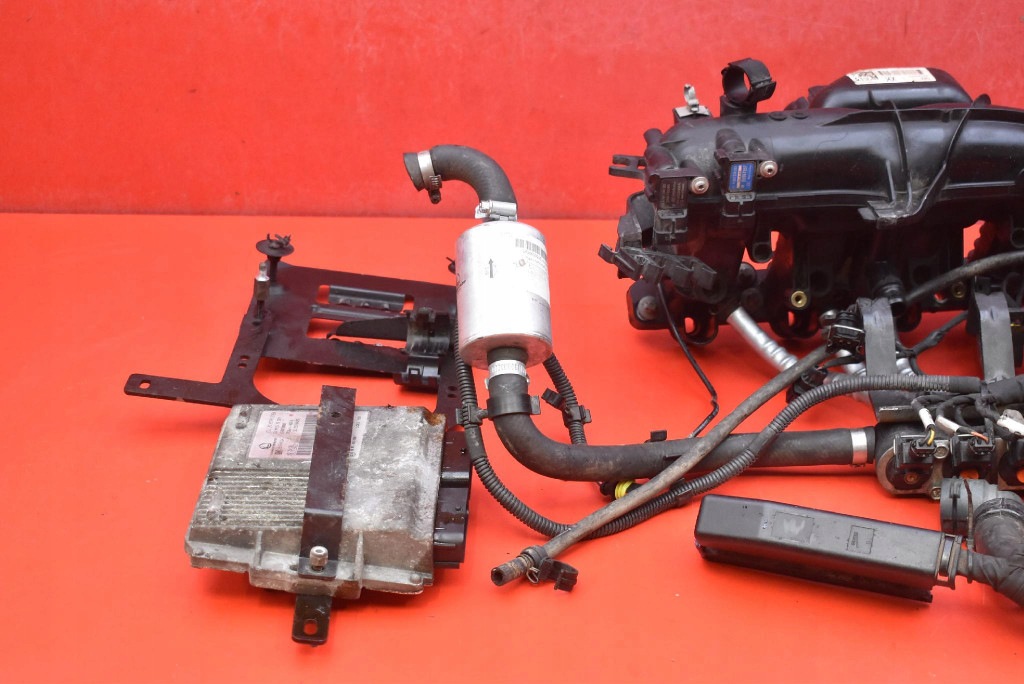 Complète Câblage Gaz LPG 25194624 LANDI RENZO