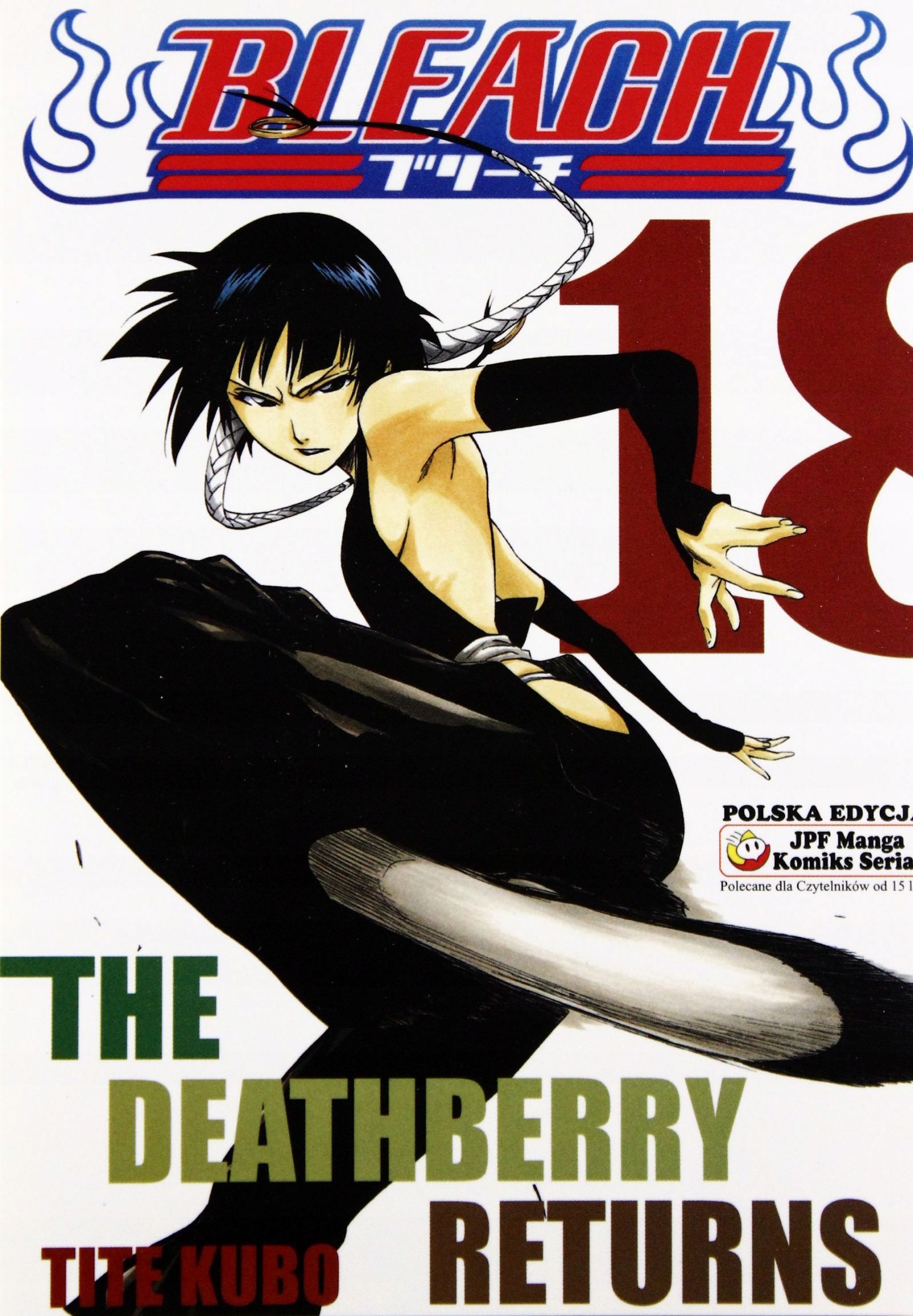 Bleach Tom 18 (książka)