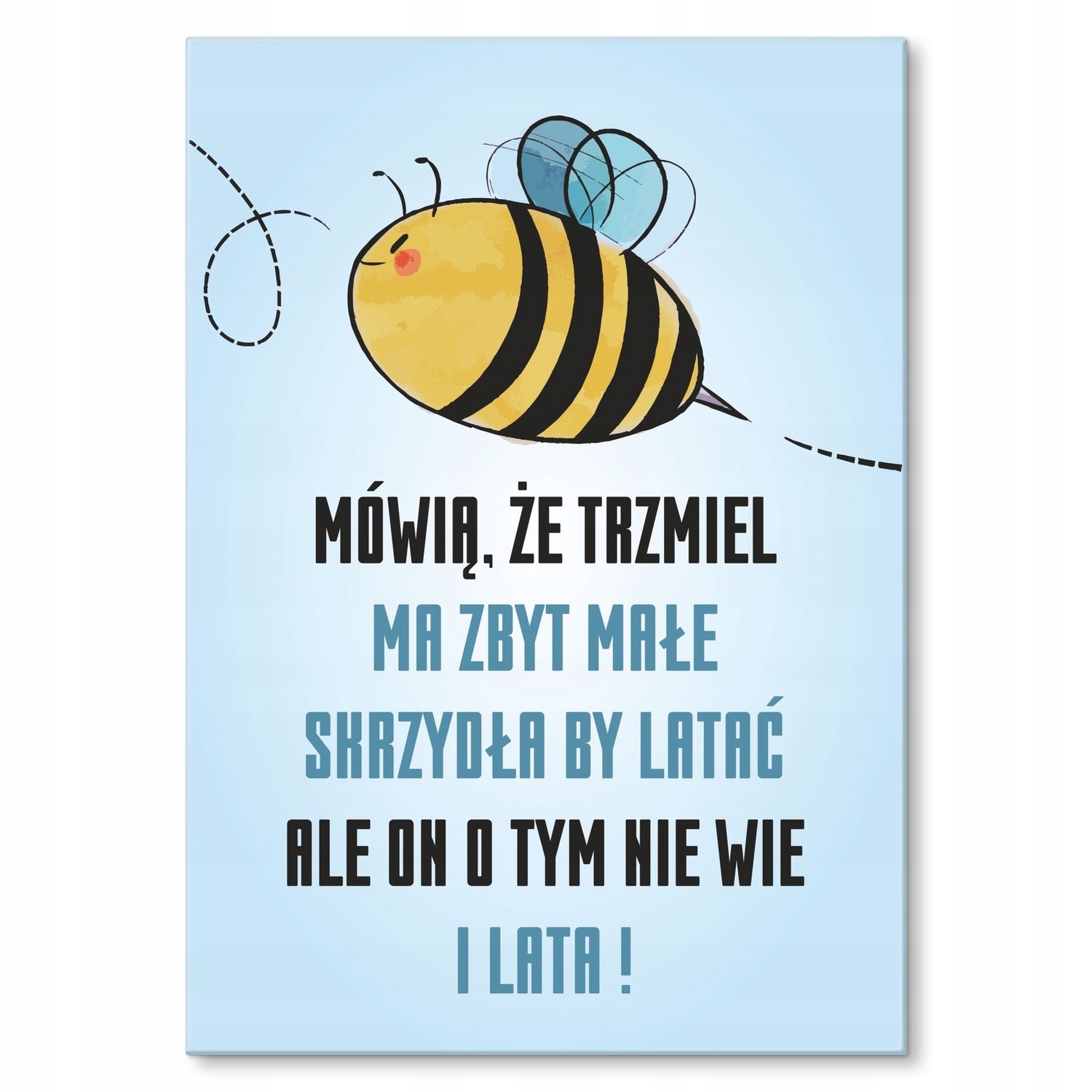 Kovový plakát Čmelák Dárek 42 x 59 cm