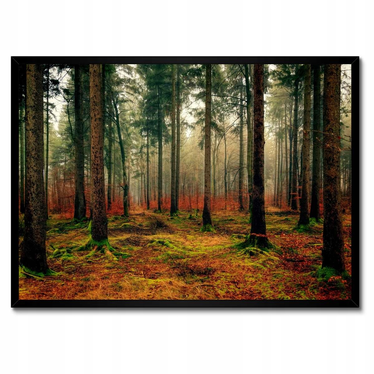 Plakáty v rámu 70x50 Les Krajina