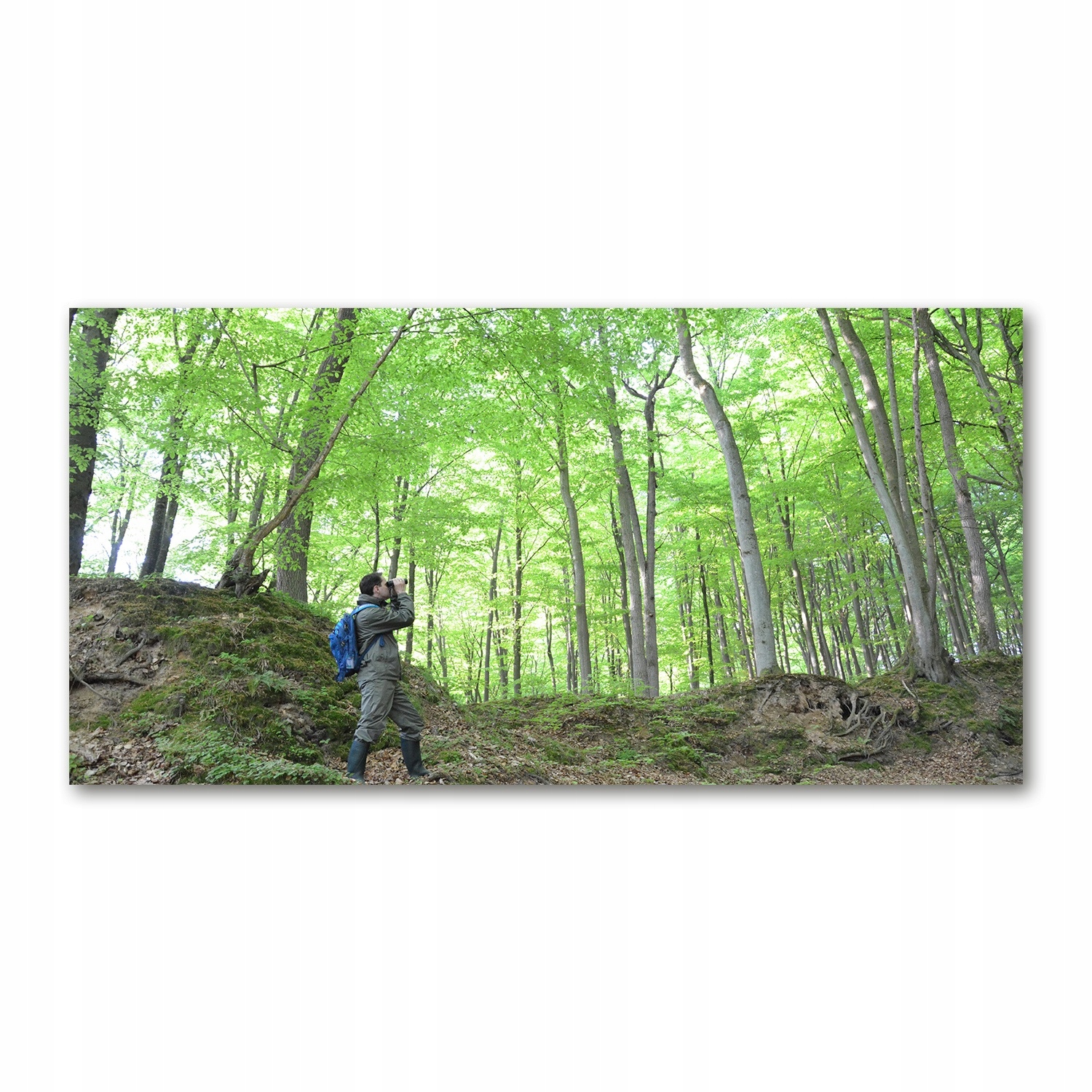 

Foto-obraz akrylowy Ornitolog w lesie 140x70 cm