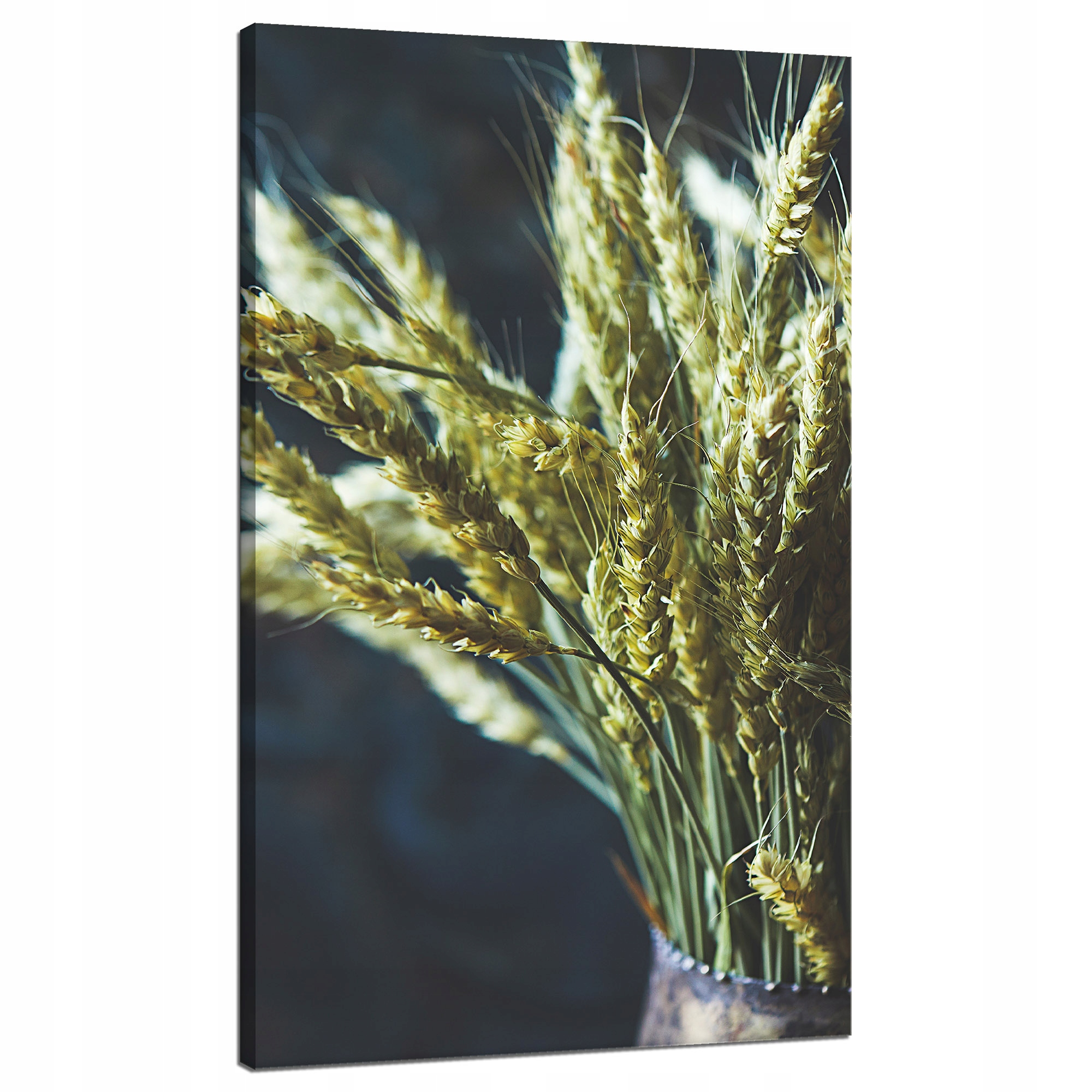Obraz na plátně Botanika Váza pšenice 70x120 cm
