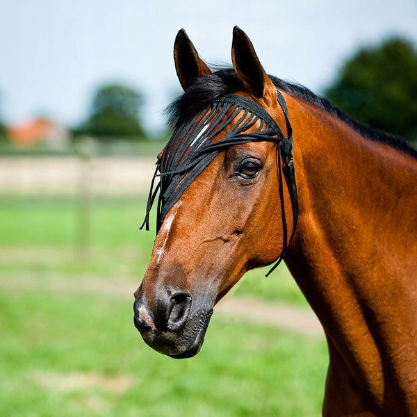 Horze, Osłona przeciw muchom Pony czarny