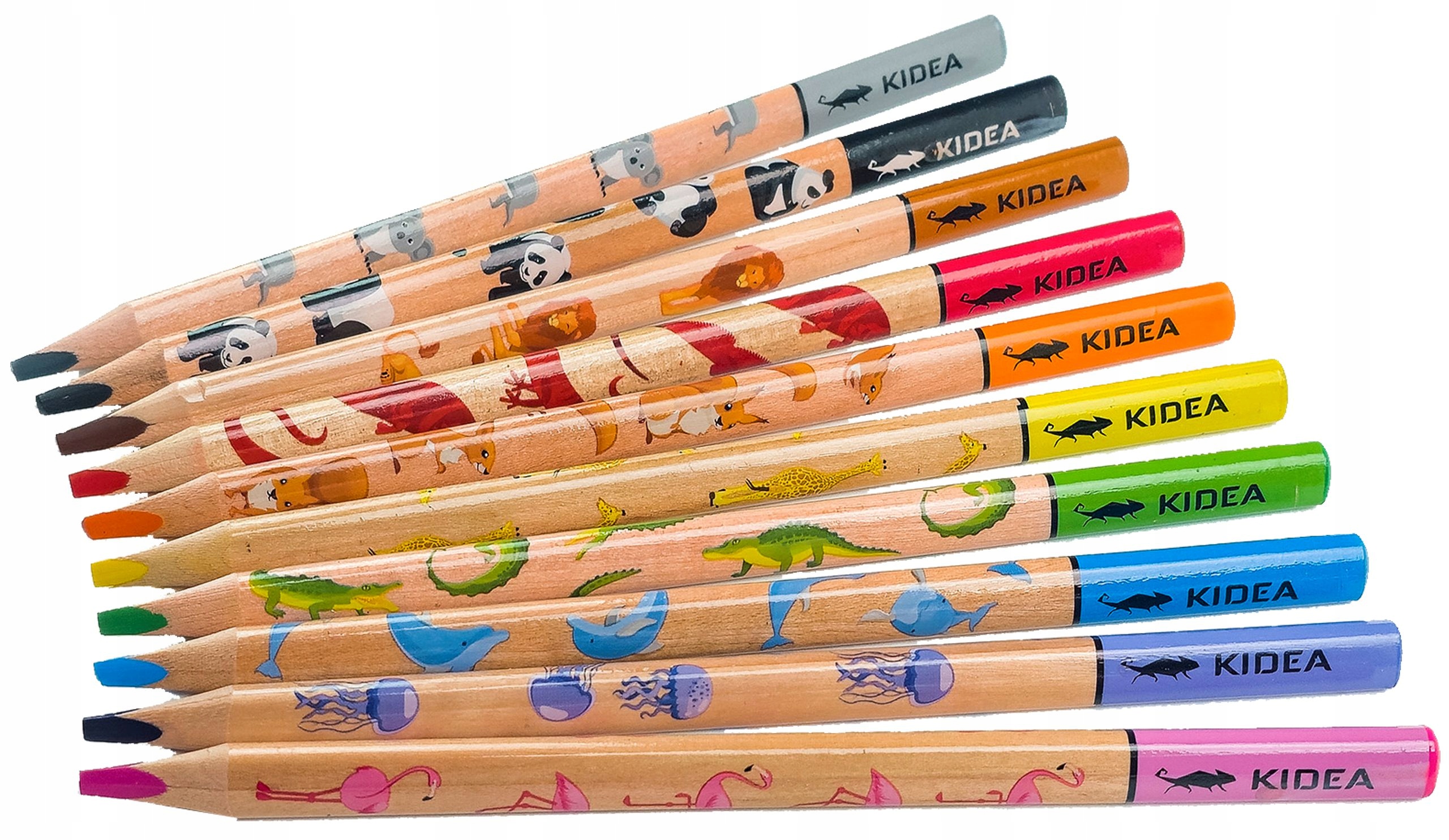 KREDKI OŁÓWKOWE SZKOLNE 10 KOLORÓW JUMBO KIDEA Kod producenta KTJS10KKA