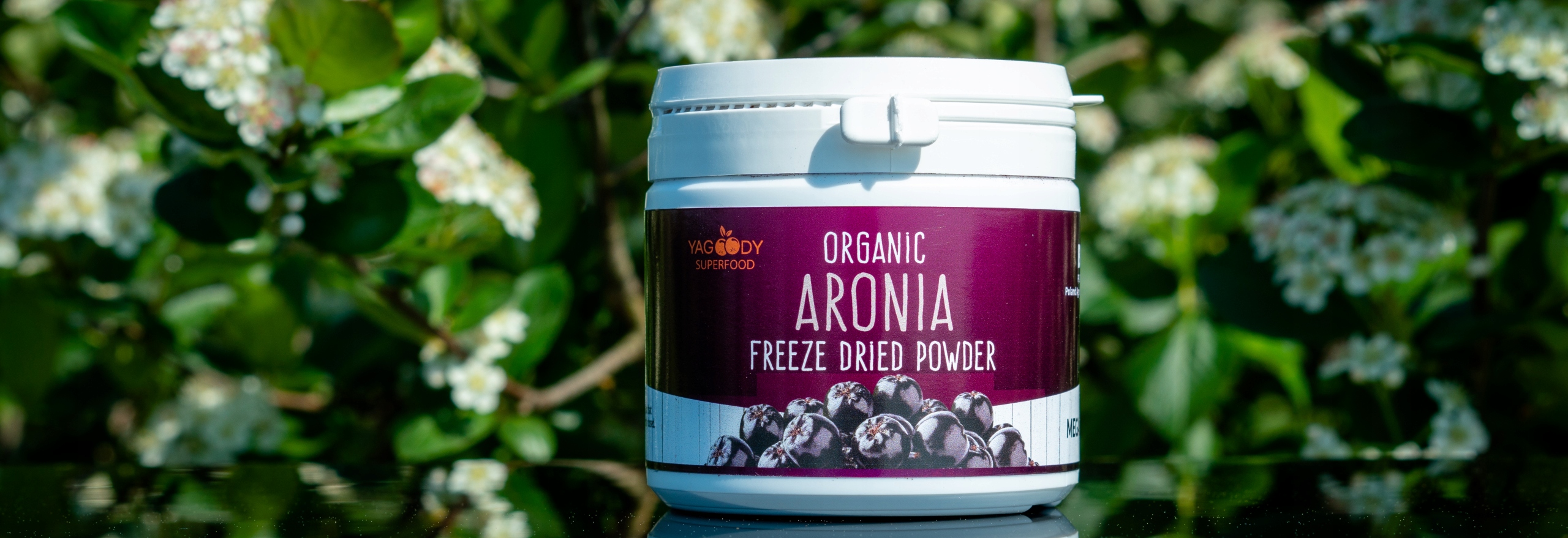 BIO PROSZEK Z ARONII LIOFILIZOWANEJ ARONIA 100 G Rodzaj wegańskie