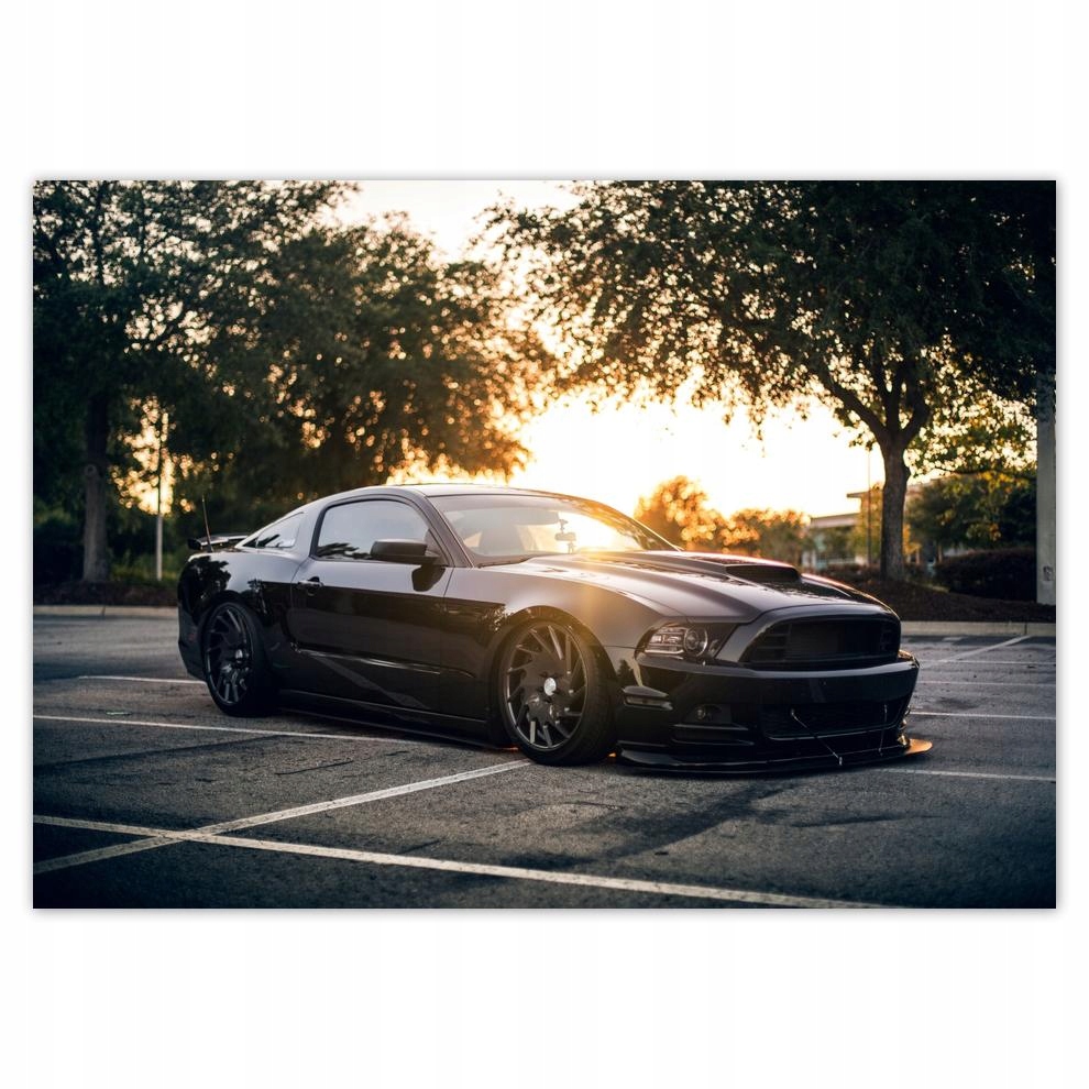

Plakaty 70x50 Czarna bestia Mustang