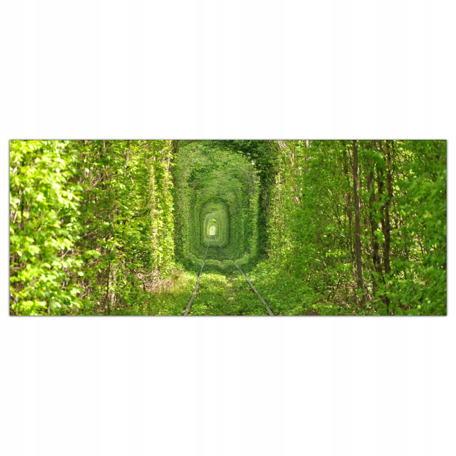 

Hartowany Obraz Szklany Tunel Tory Pociąg 125x50