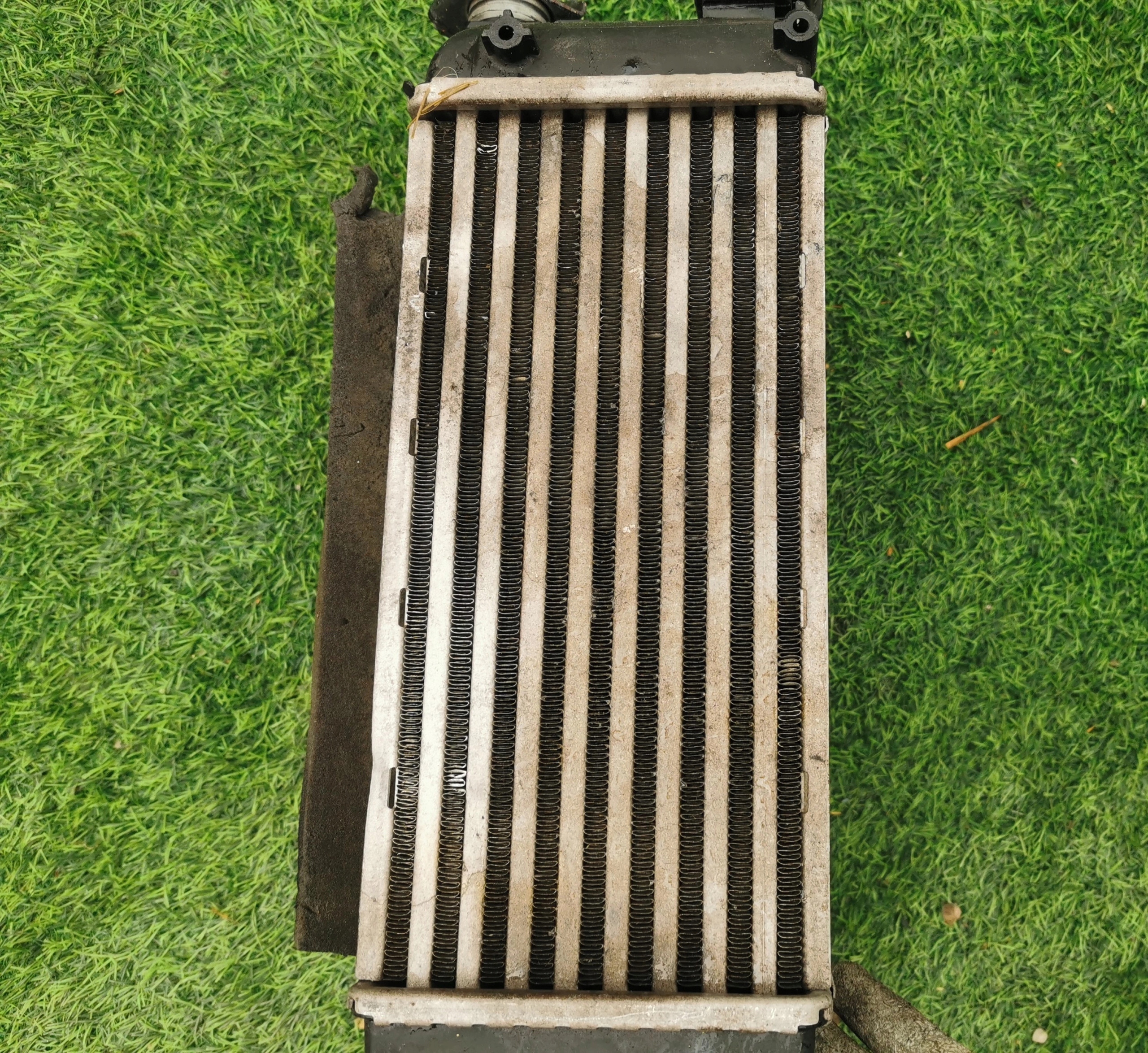 FIAT 500 PANDA FORD KA INTERCOOLER 51855481