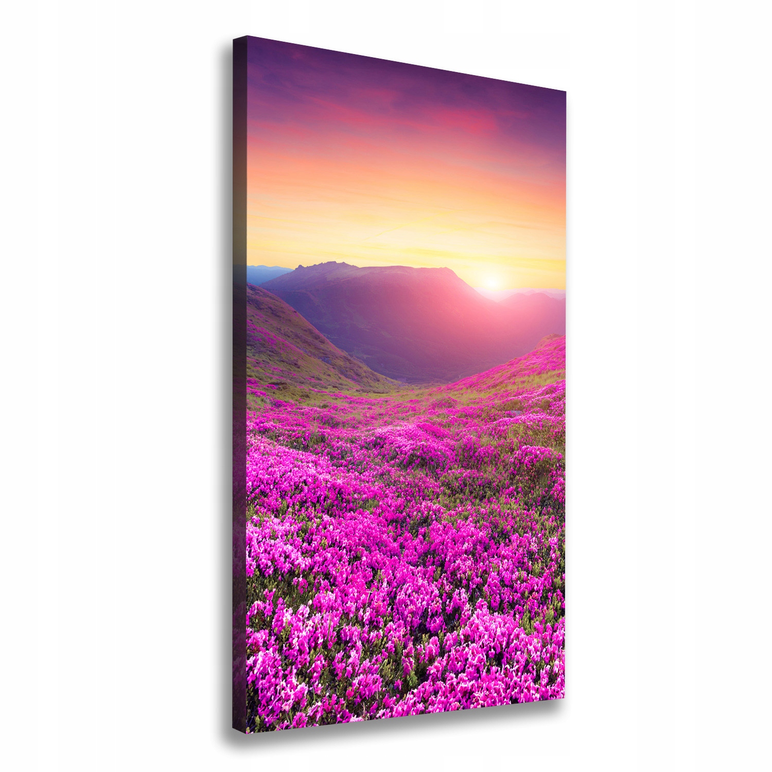 

Foto obraz na płótnie Góry rododendron 70x140 cm