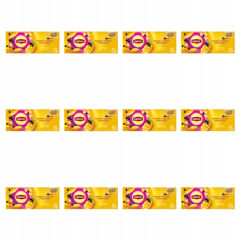 Lipton Fruit Mango a Černý rybíz 20TB X12