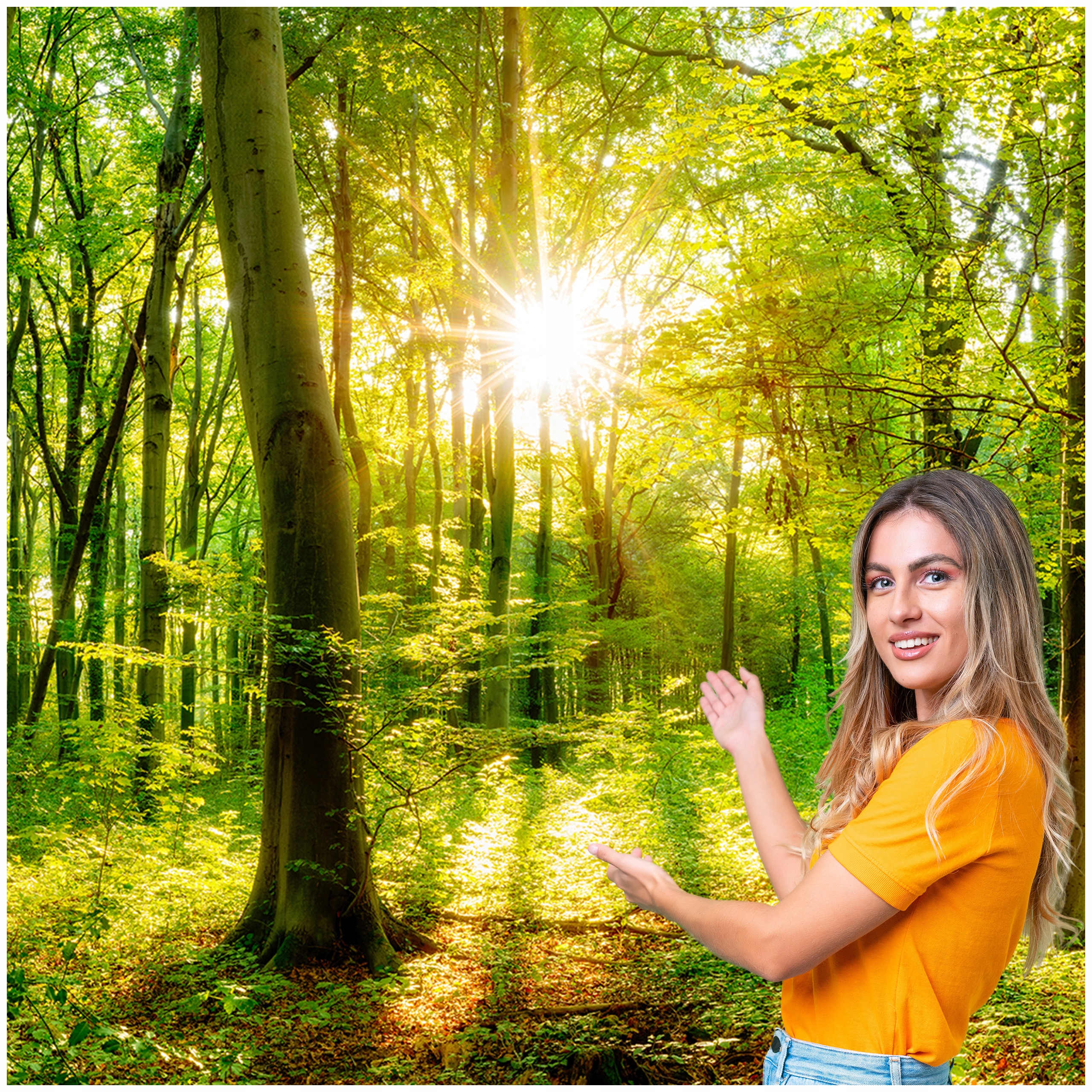 3D fototapeta Obývacia Izba Spálňa Les Stromy Slnko 294x260 P03F