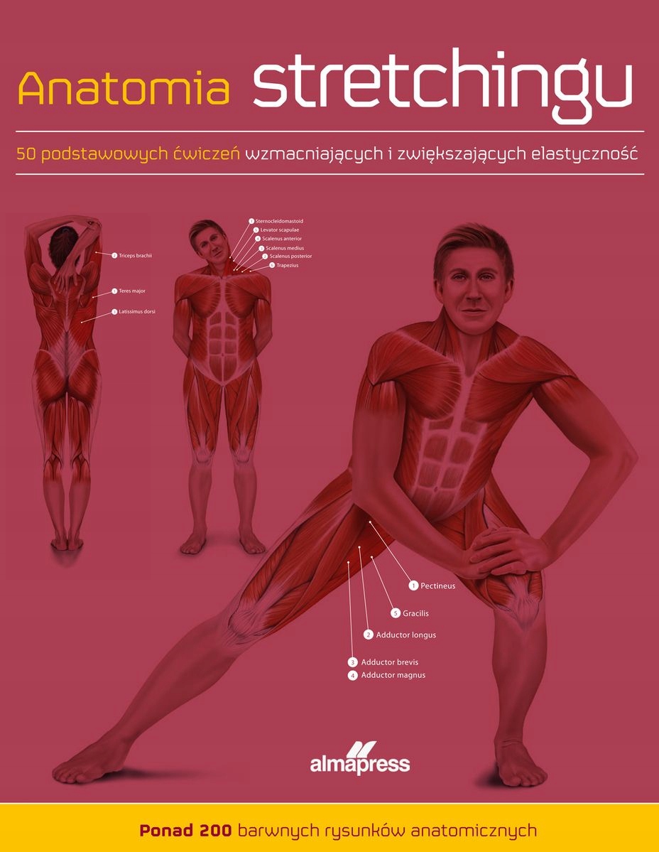 Anatomia stretchingu - 50 ćwiczeń