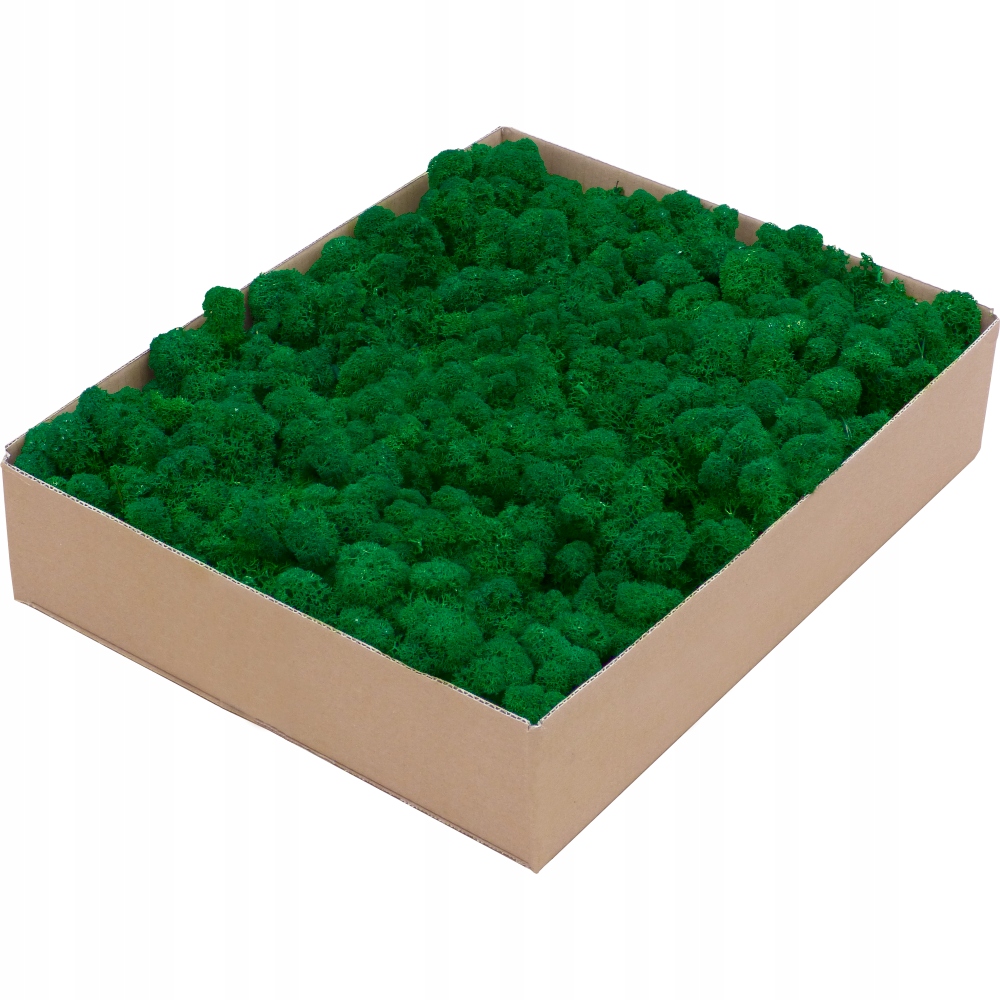 Mech Chrobotek Premium Emerald Green Karton 1kg