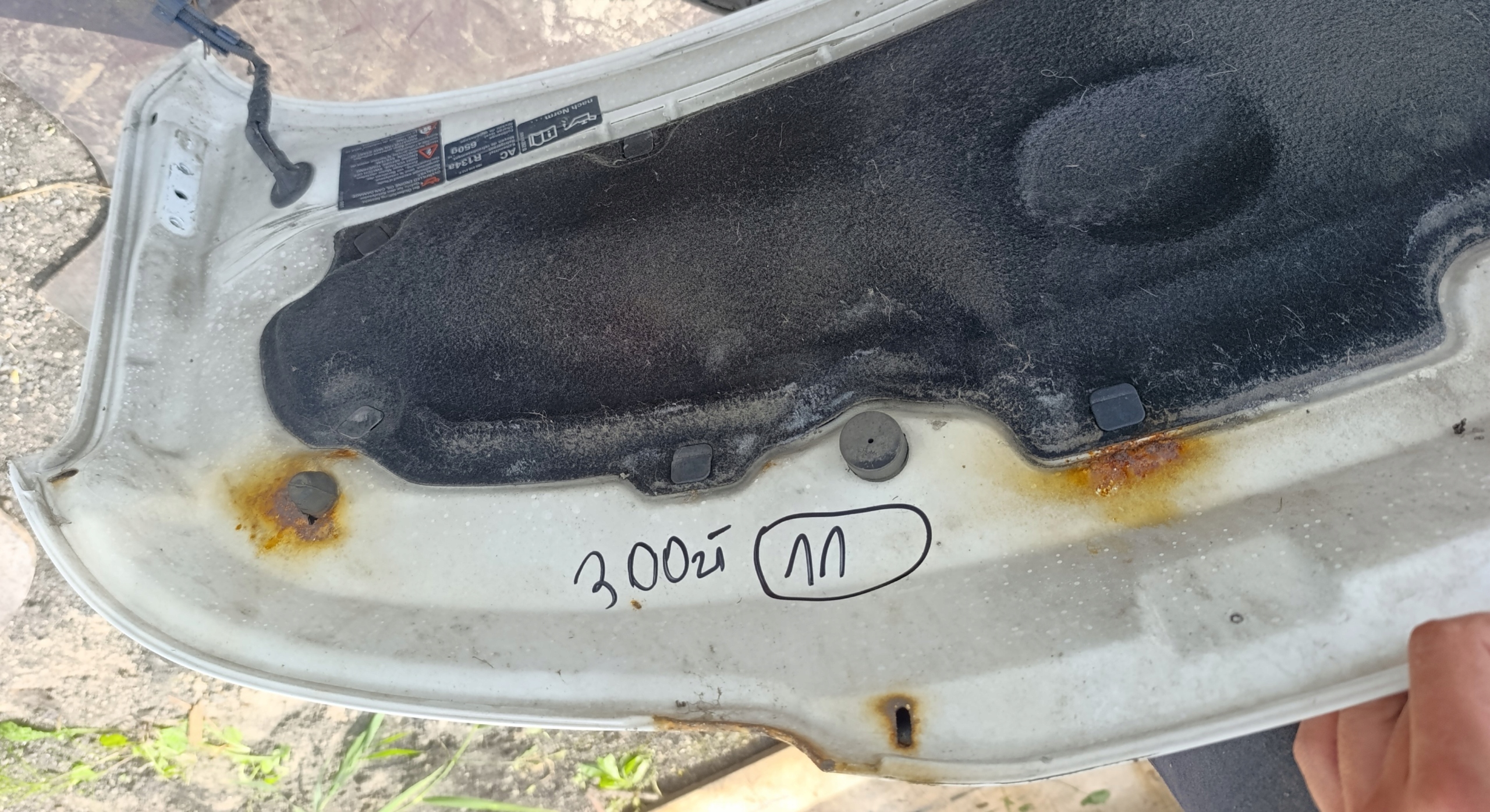 VW T5 bonnet biala