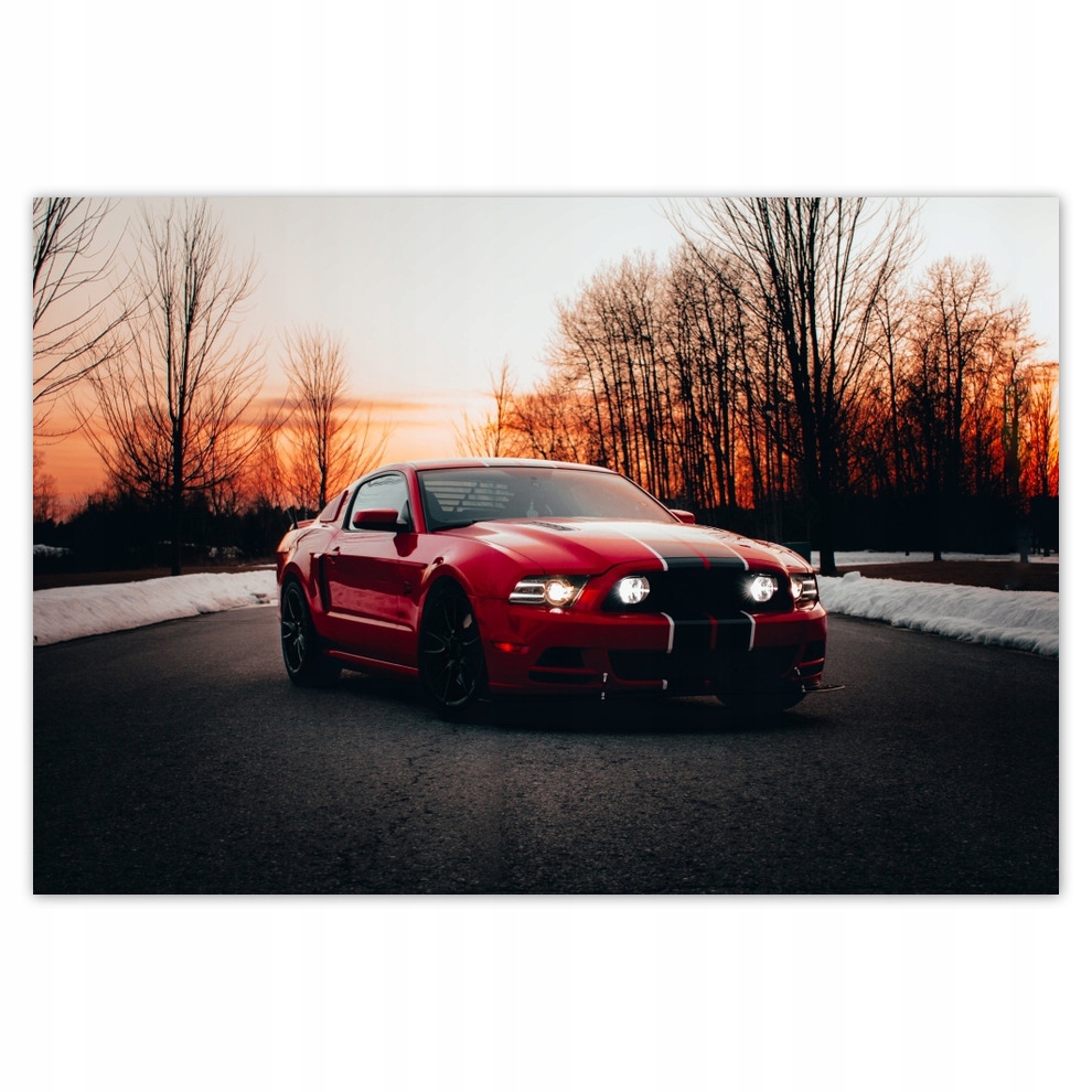 

Fototapety flizelina 152x104 Ford Mustang