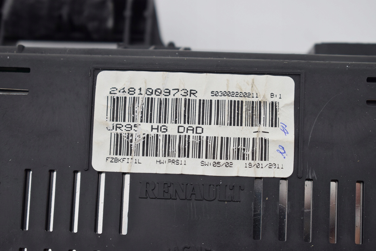 frame display RENAULT SCENIC III 248100973R