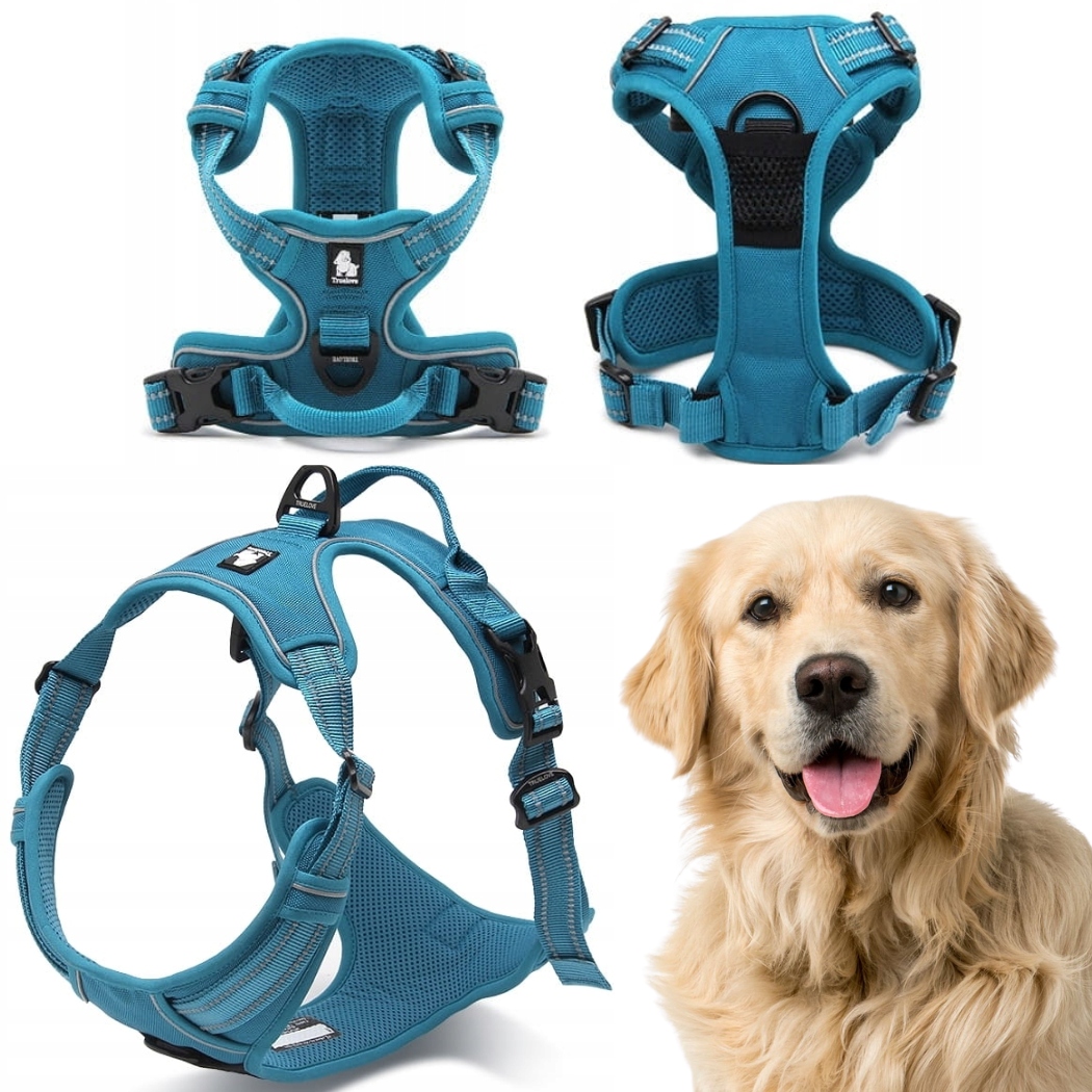 Levně Obojky Pro Psa Truelove Easy Walk Silné Odolné Reflexní Modré XL